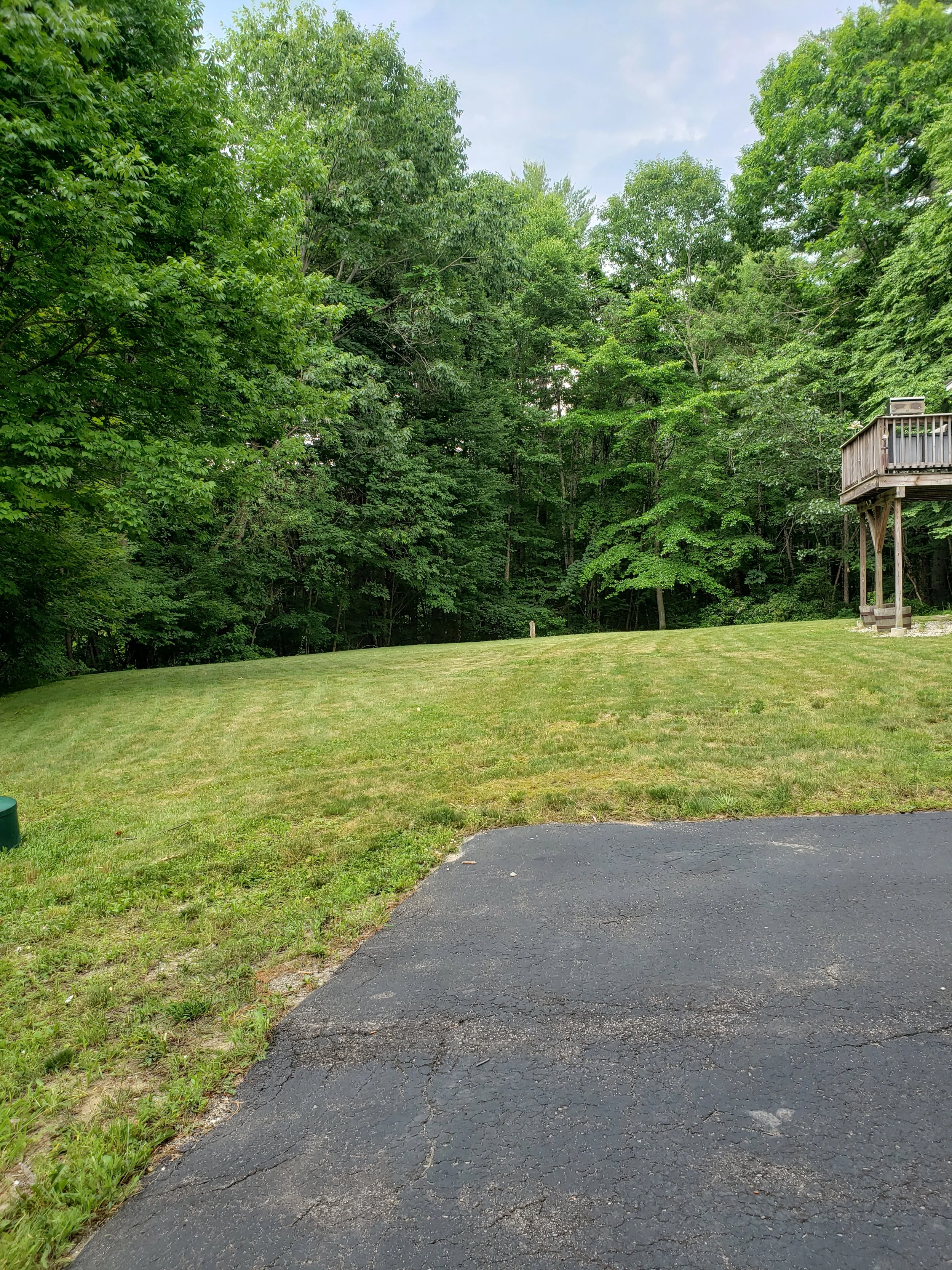 First cut. The grass was almost a foot tall when I got there.