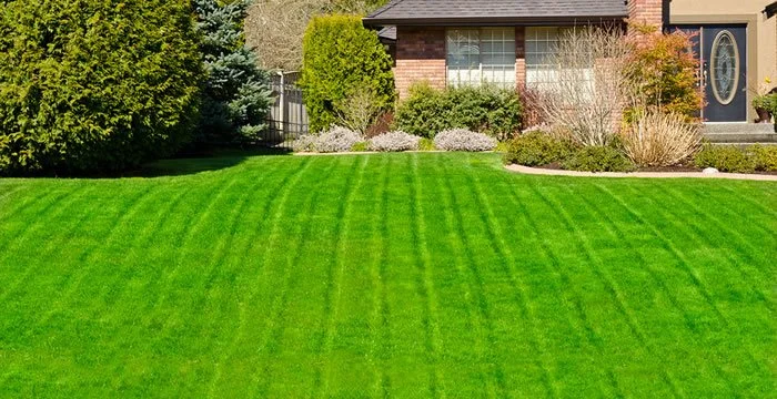 Lawn with striped pattern in front of a house.