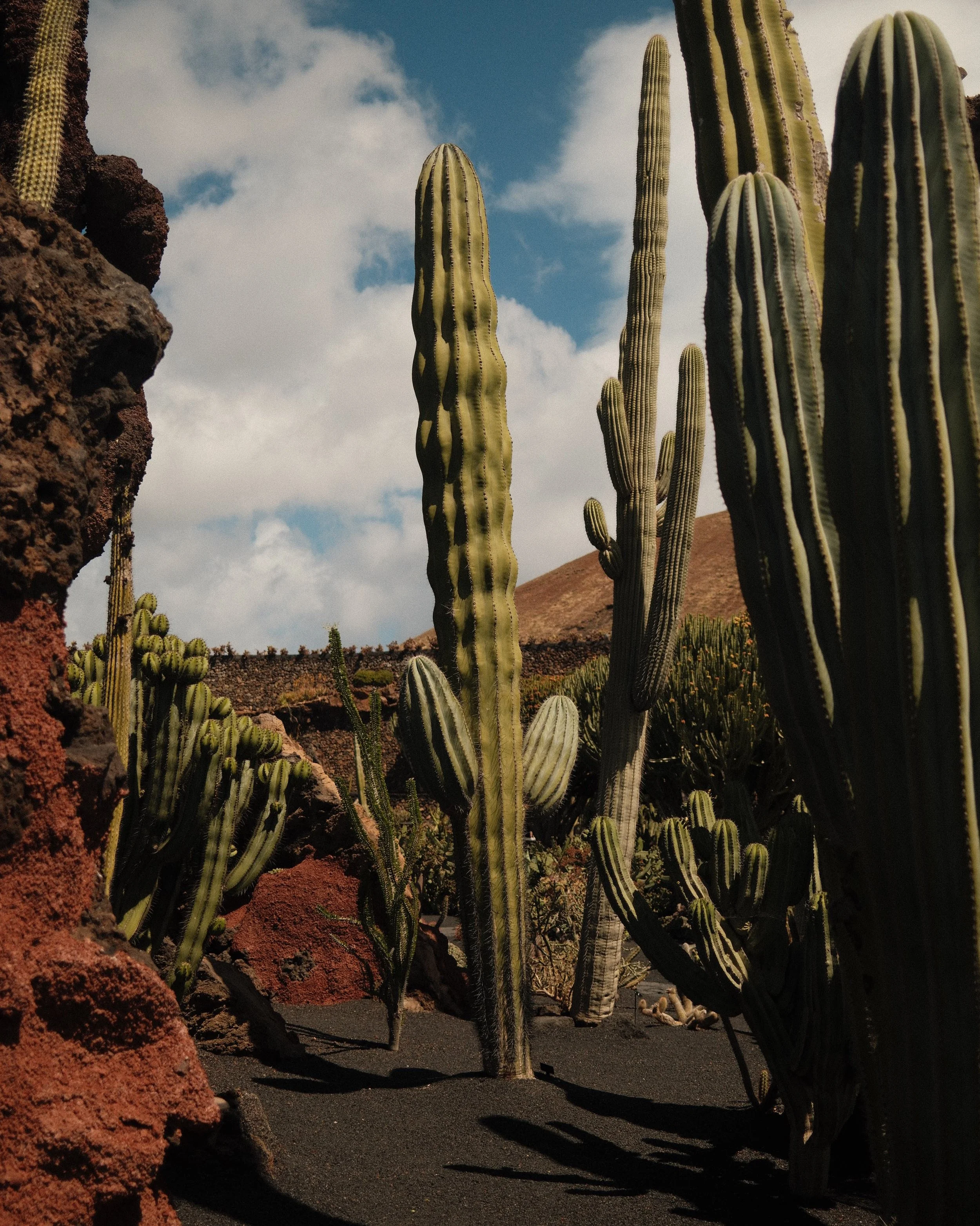 lanzarote 2026