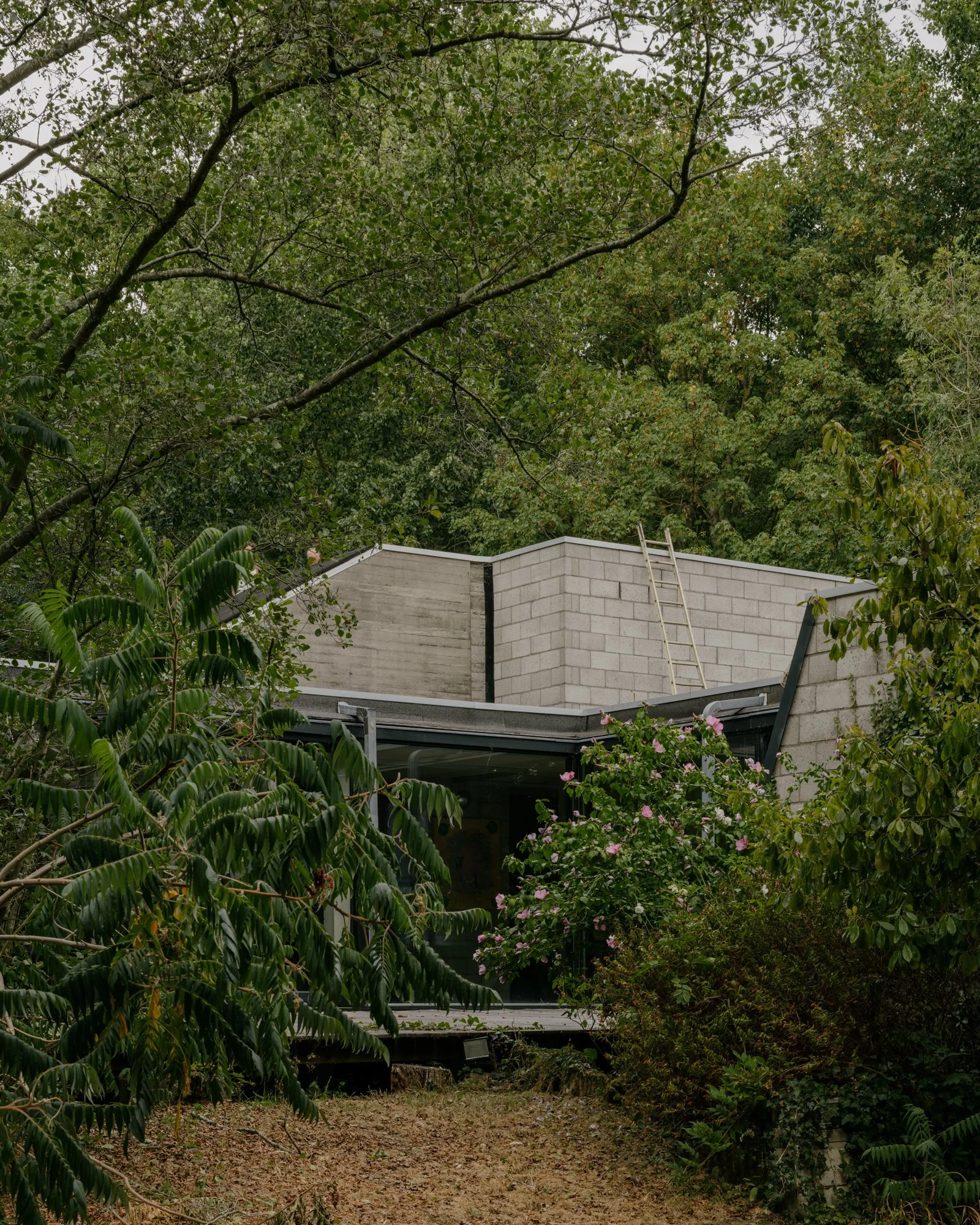 seventies house, for bildt.