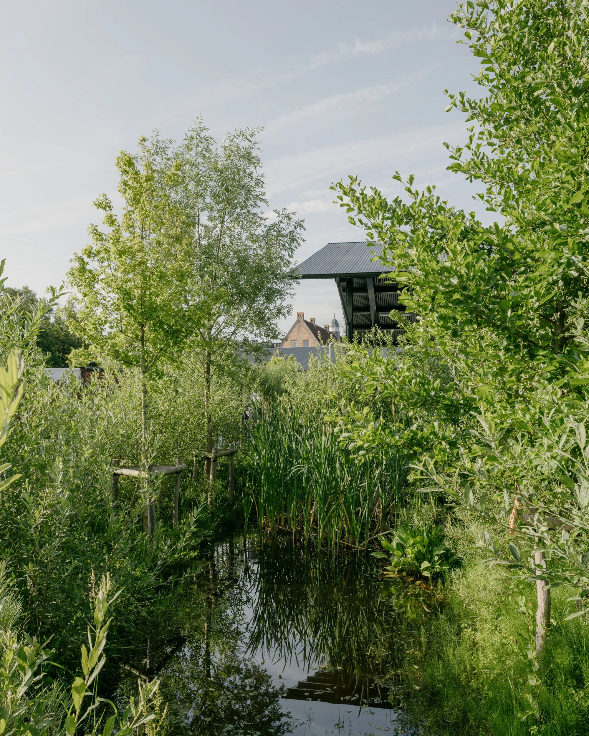 nursery school, for bildt. and buro groen
