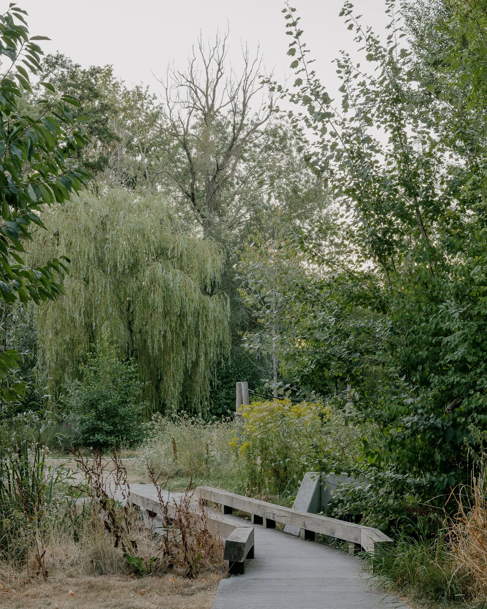 public parc, for buro groen