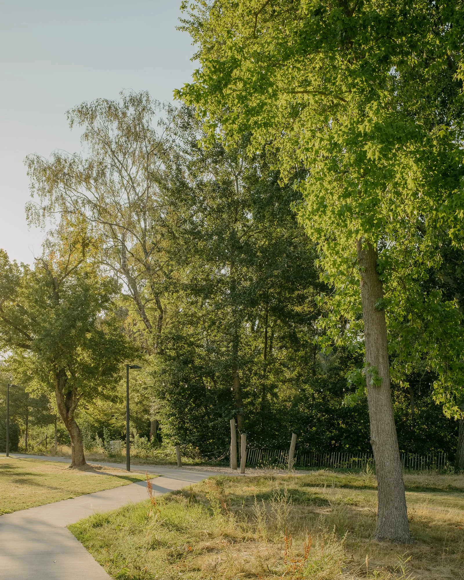 public parc, for buro groen