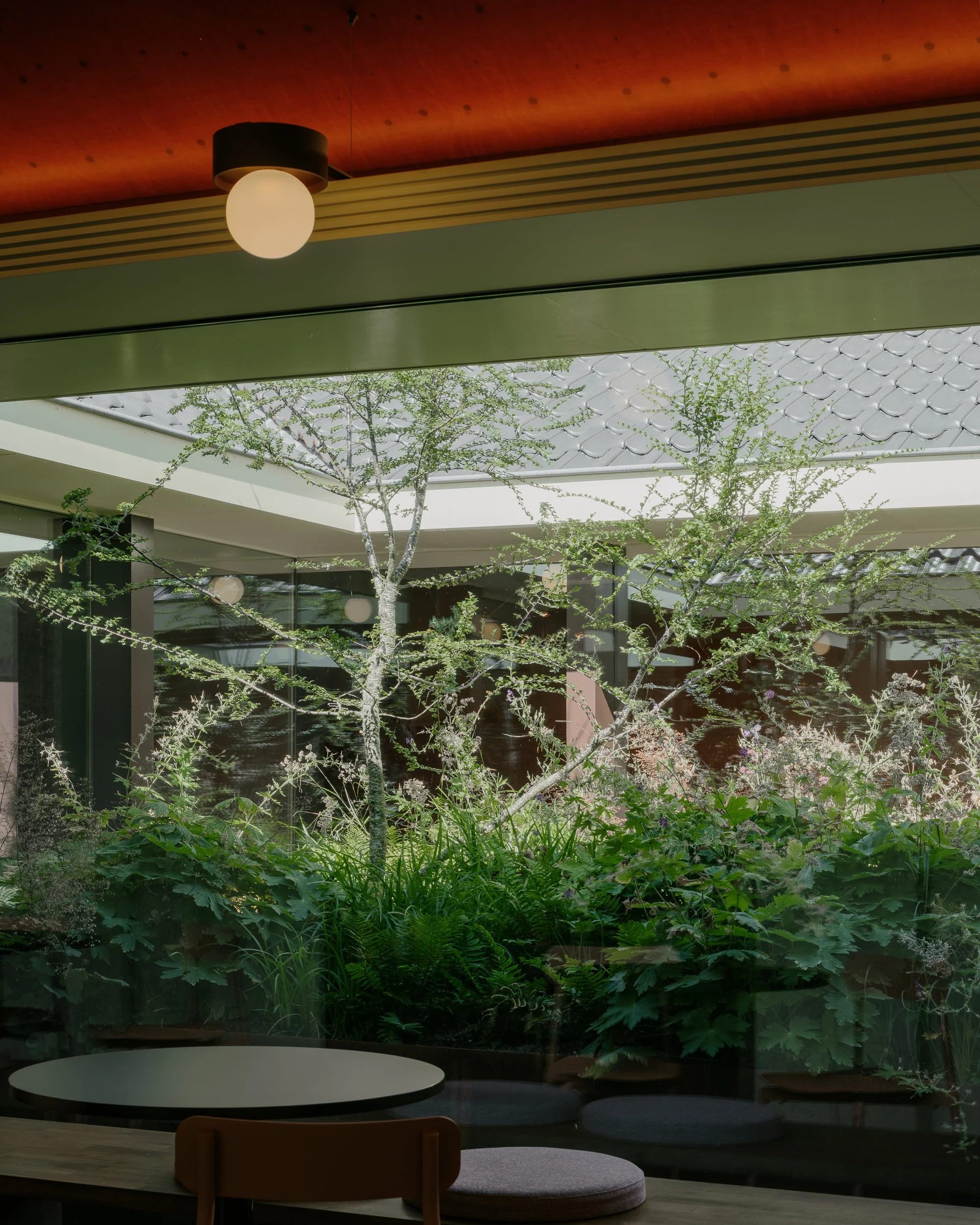 courtyard, for buro groen