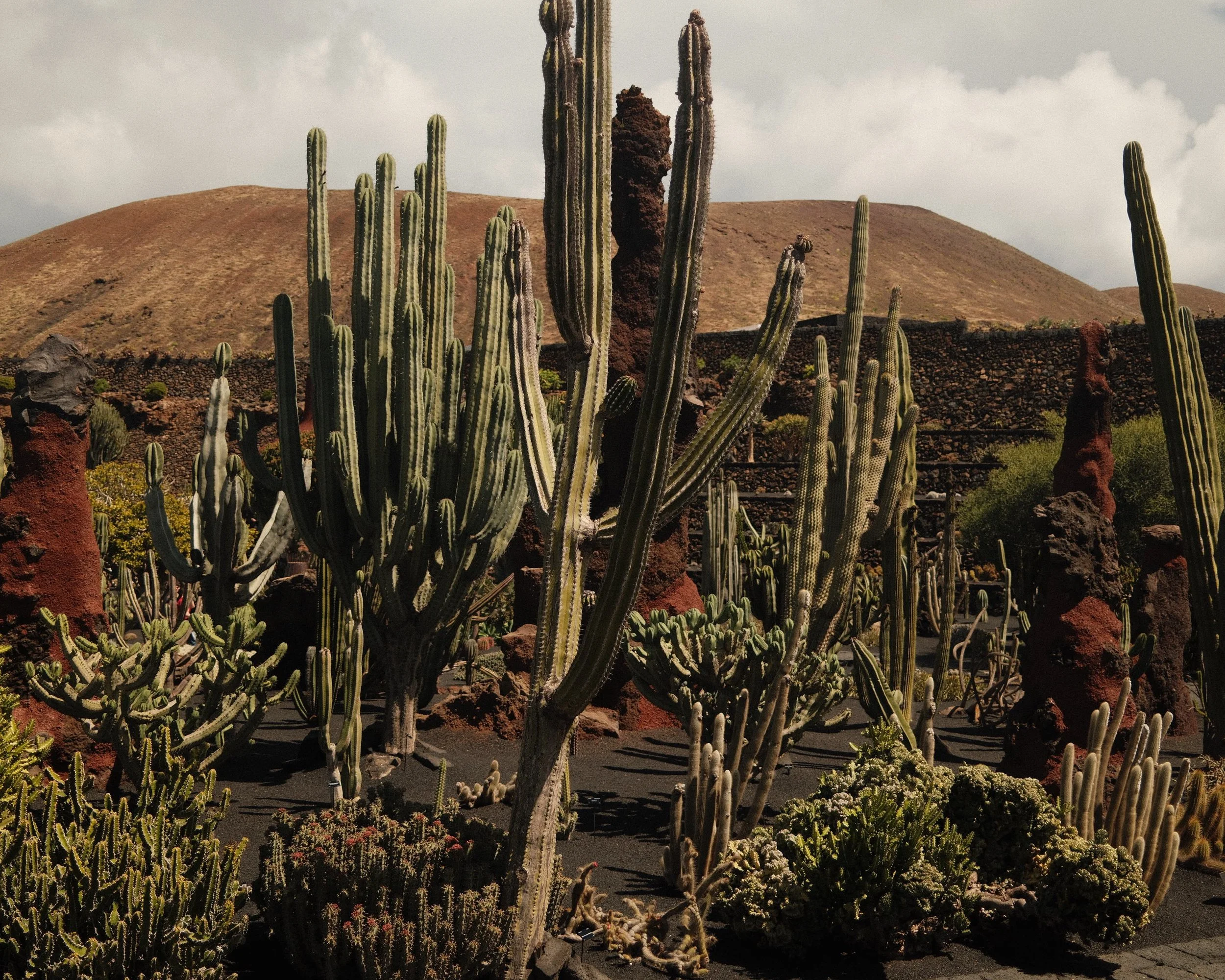 lanzarote 2026