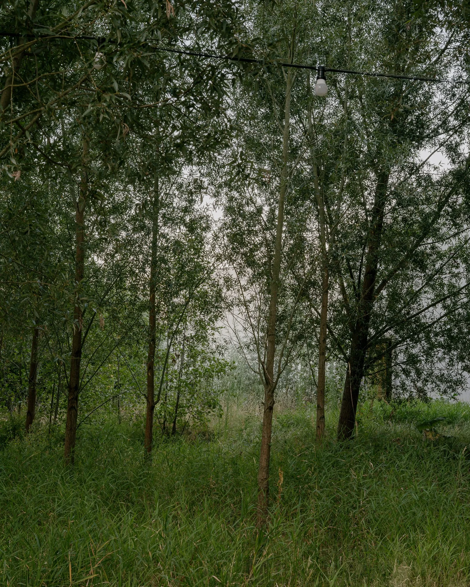 public parc, for buro groen