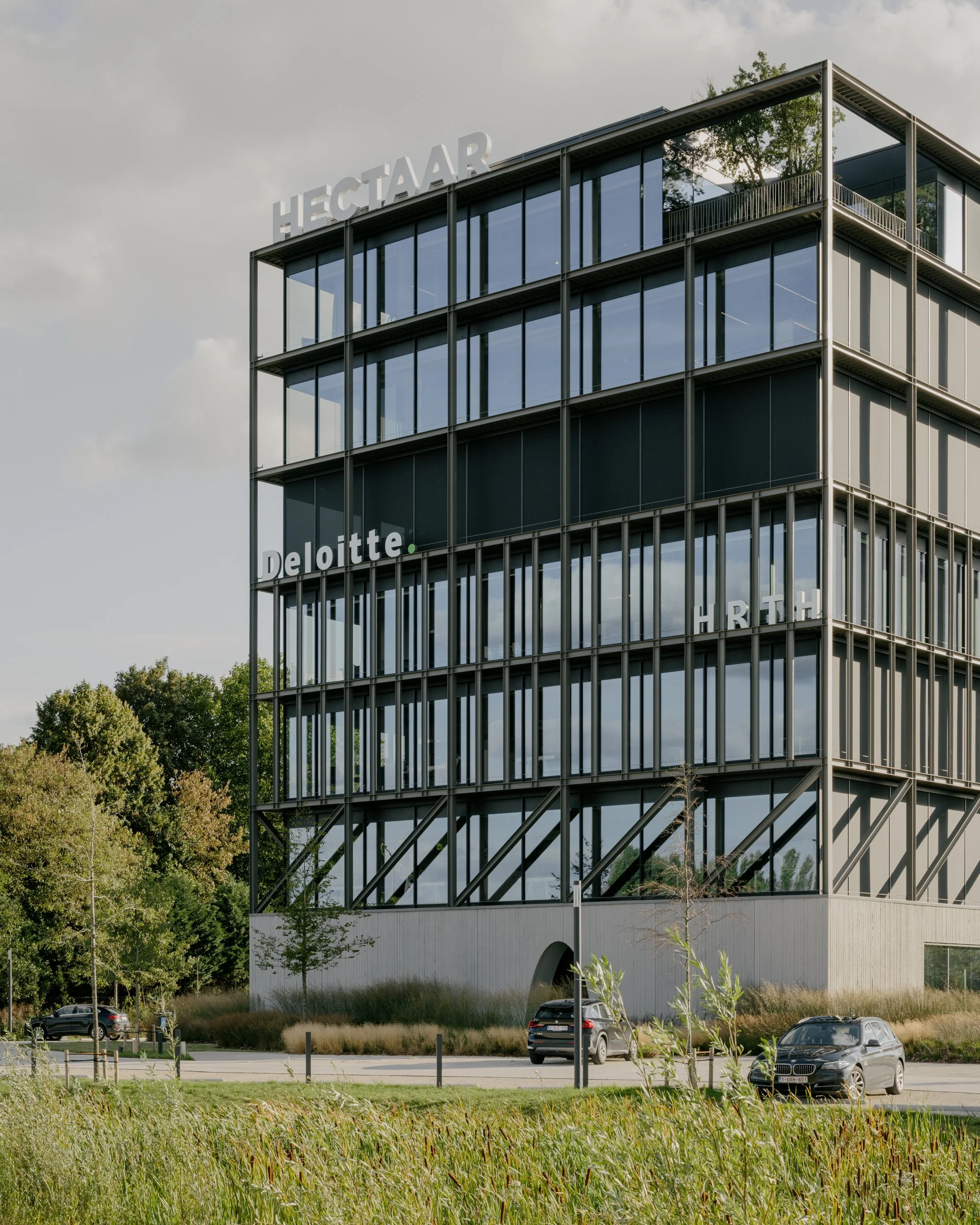 office landscaping, for buro groen