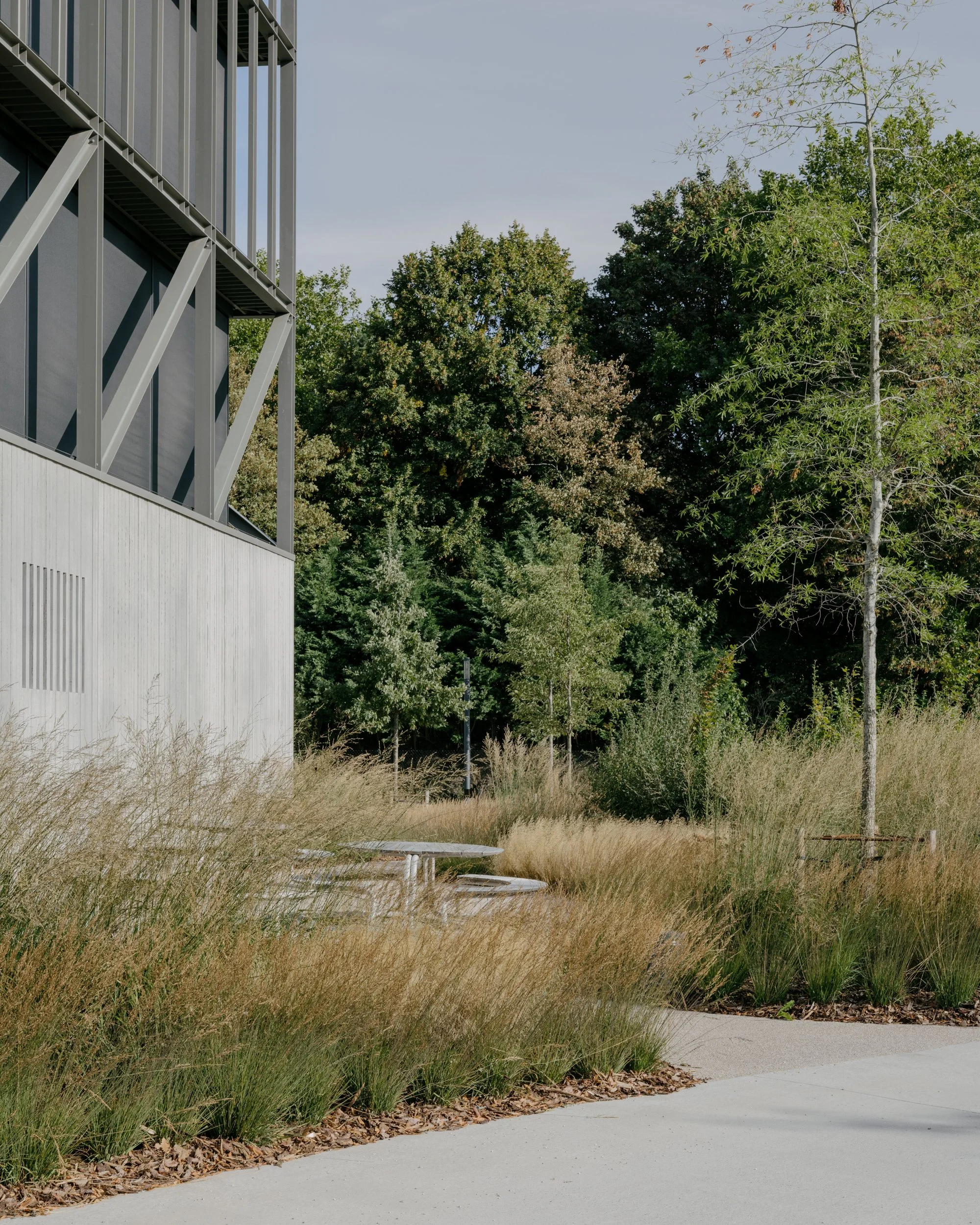 office landscaping, for buro groen