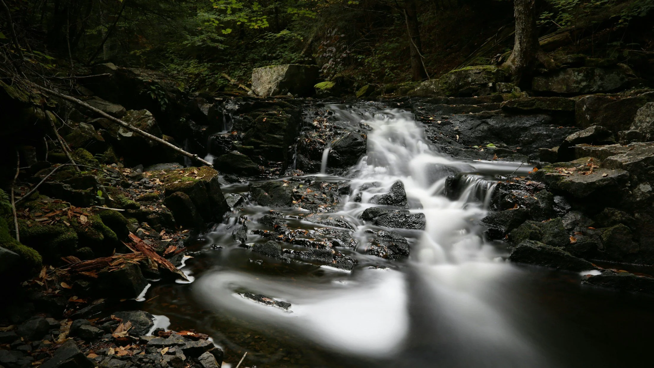 A peaceful mountain stream flowing through a green forest
