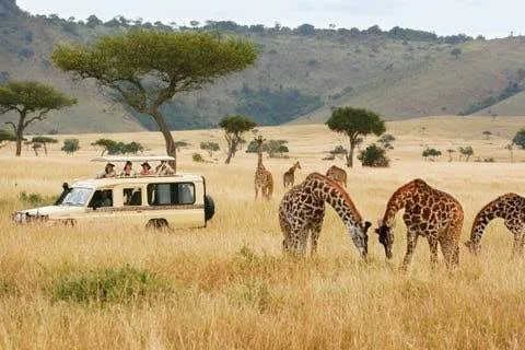 SAFARI TO SEA - AFRICA YOGA & ADVENTURE RETREAT