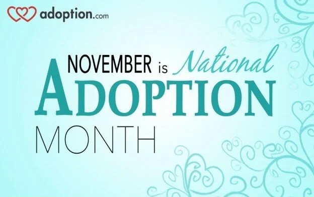 Credit Image:  Adoption.com