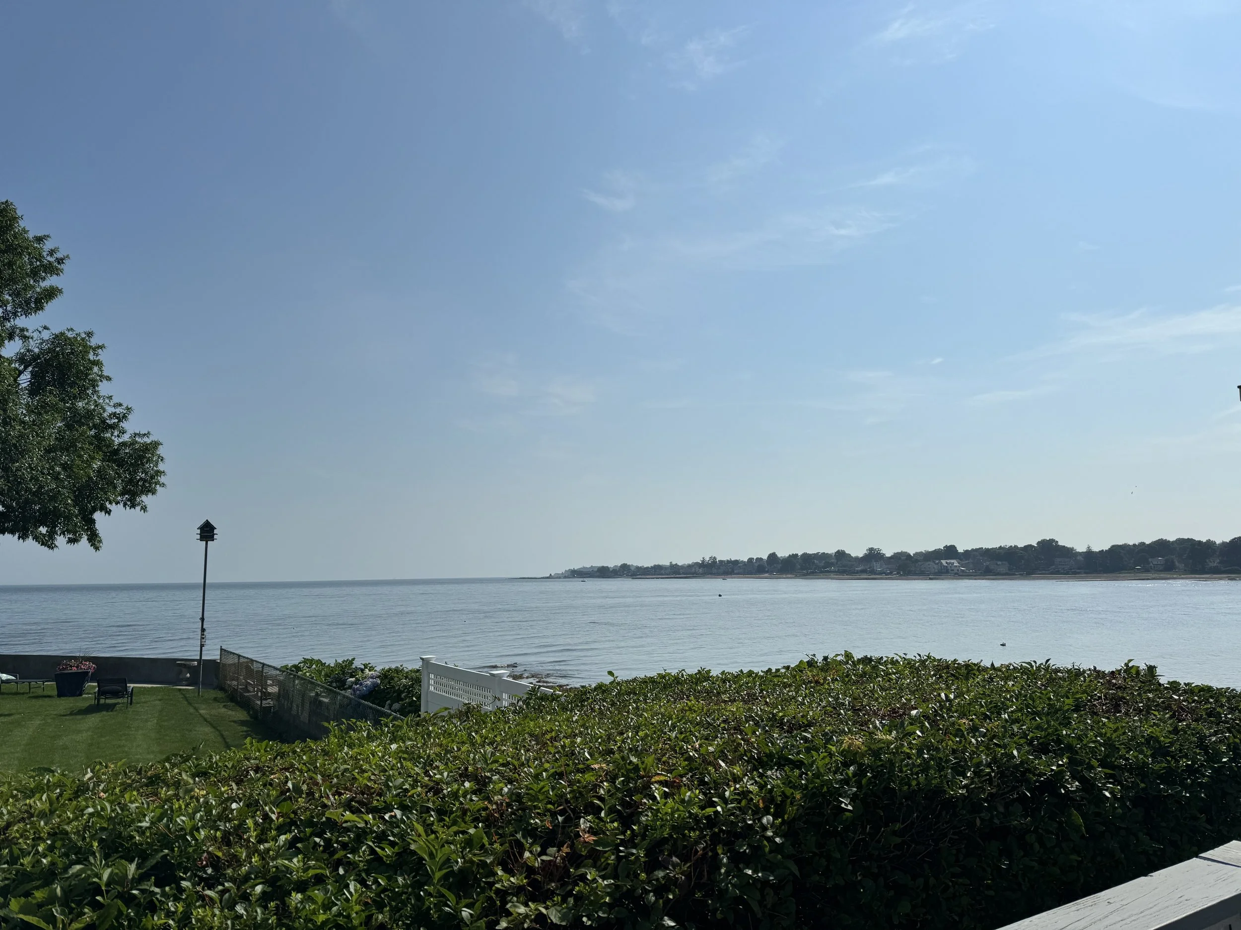A lakeside view with a grassy area, shrubs, and flowers in the foreground, a body of water, a clear blue sky with some clouds, a tree on the left side, and a distant shoreline with buildings and trees.