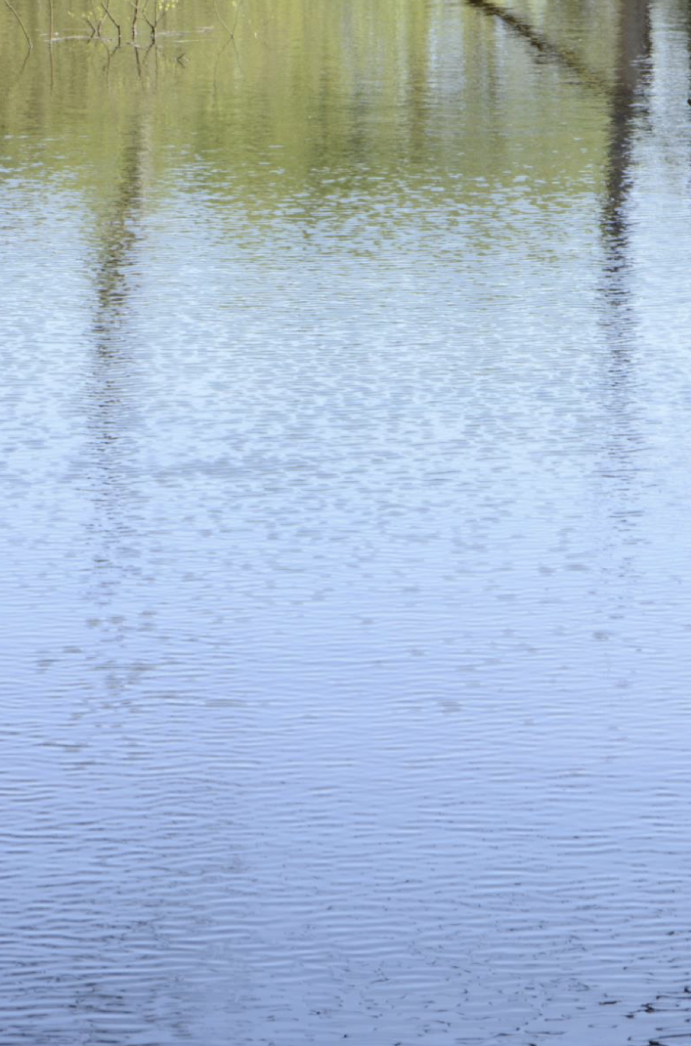 A tranquil body of water with reflections of trees and a brown shoreline visible at the top edge.