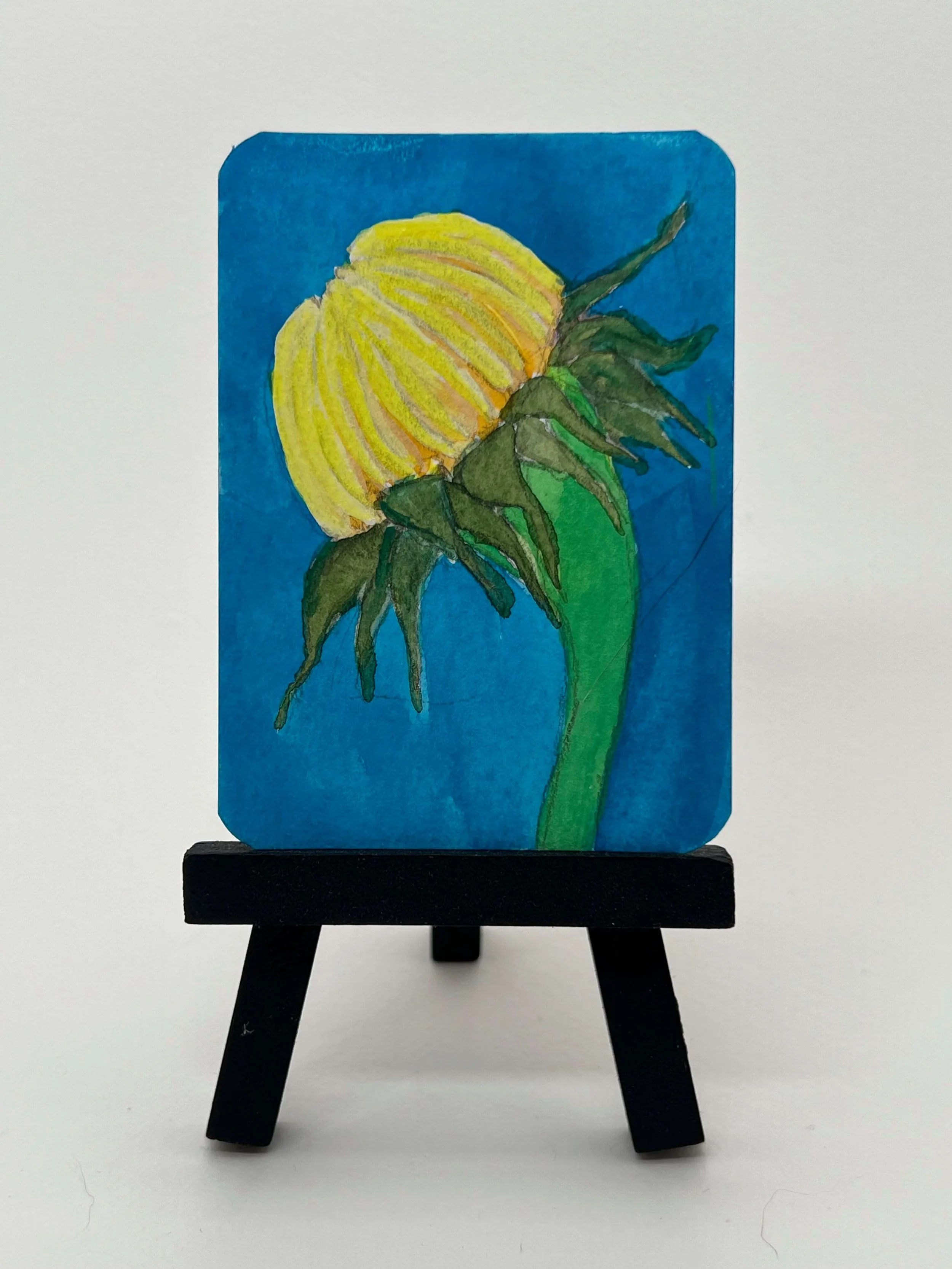 Sunflowers5.jpeg