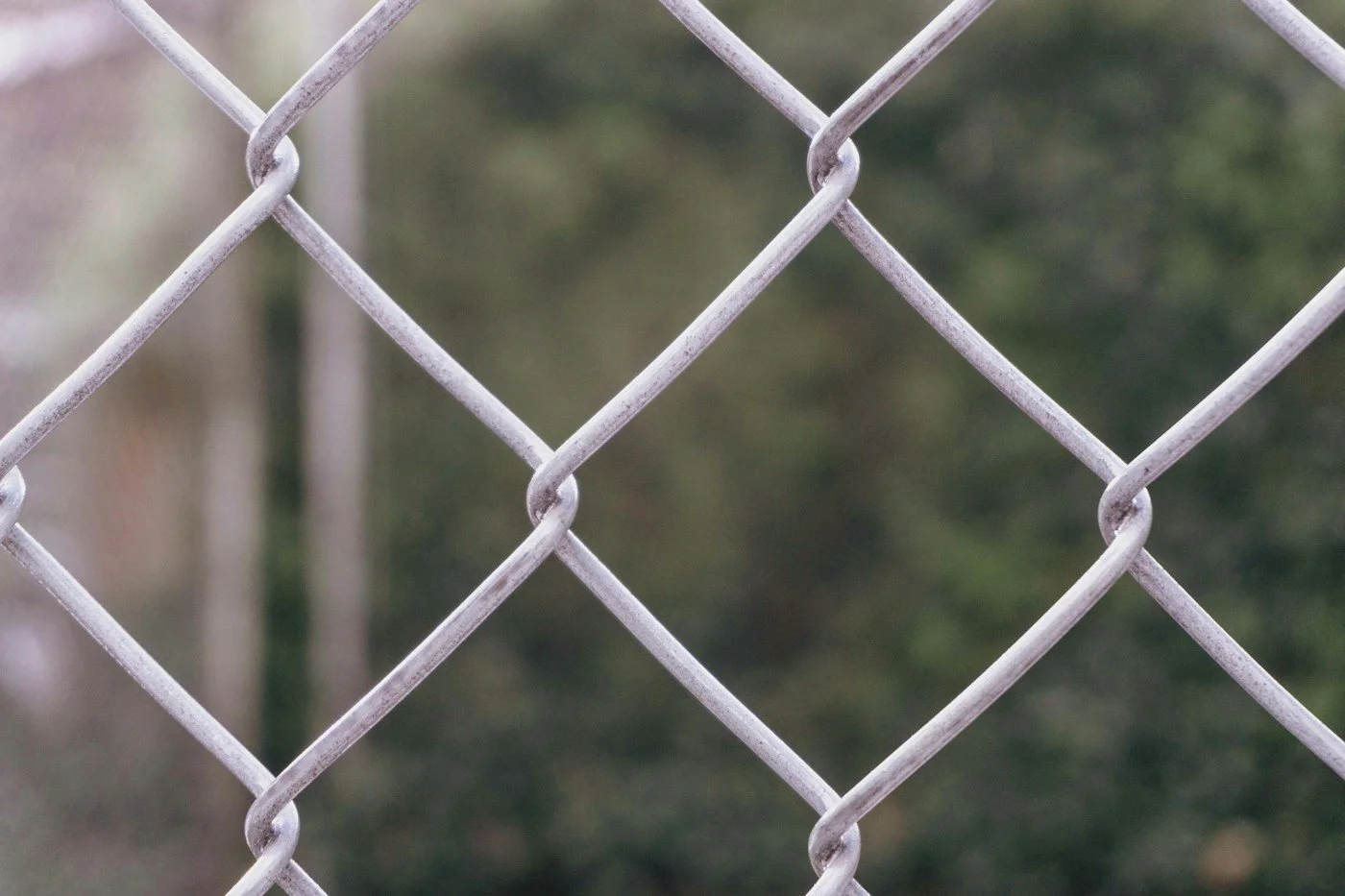 Chain link