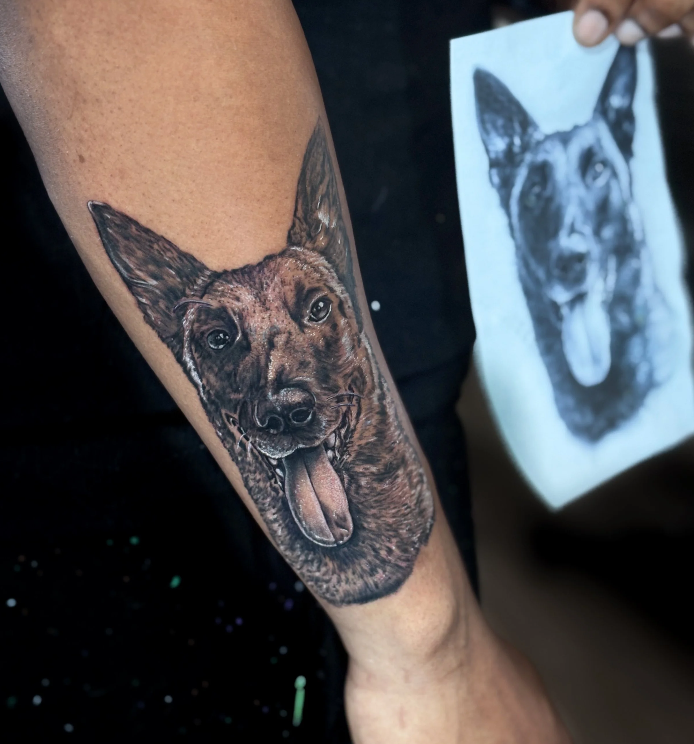 Close-up view of a tattoo of a dog's face on a person's arm, with a black and white dog illustration in the background.