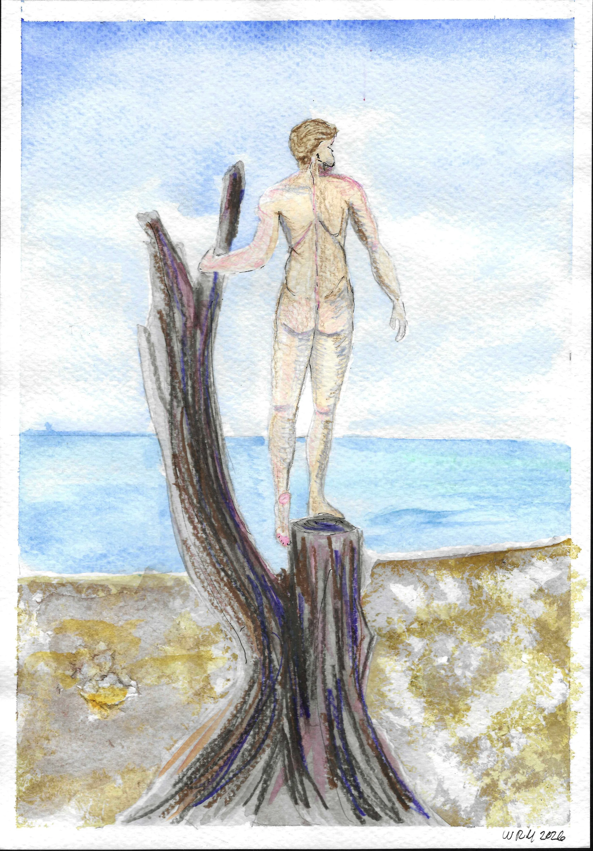 Looking To The Sea