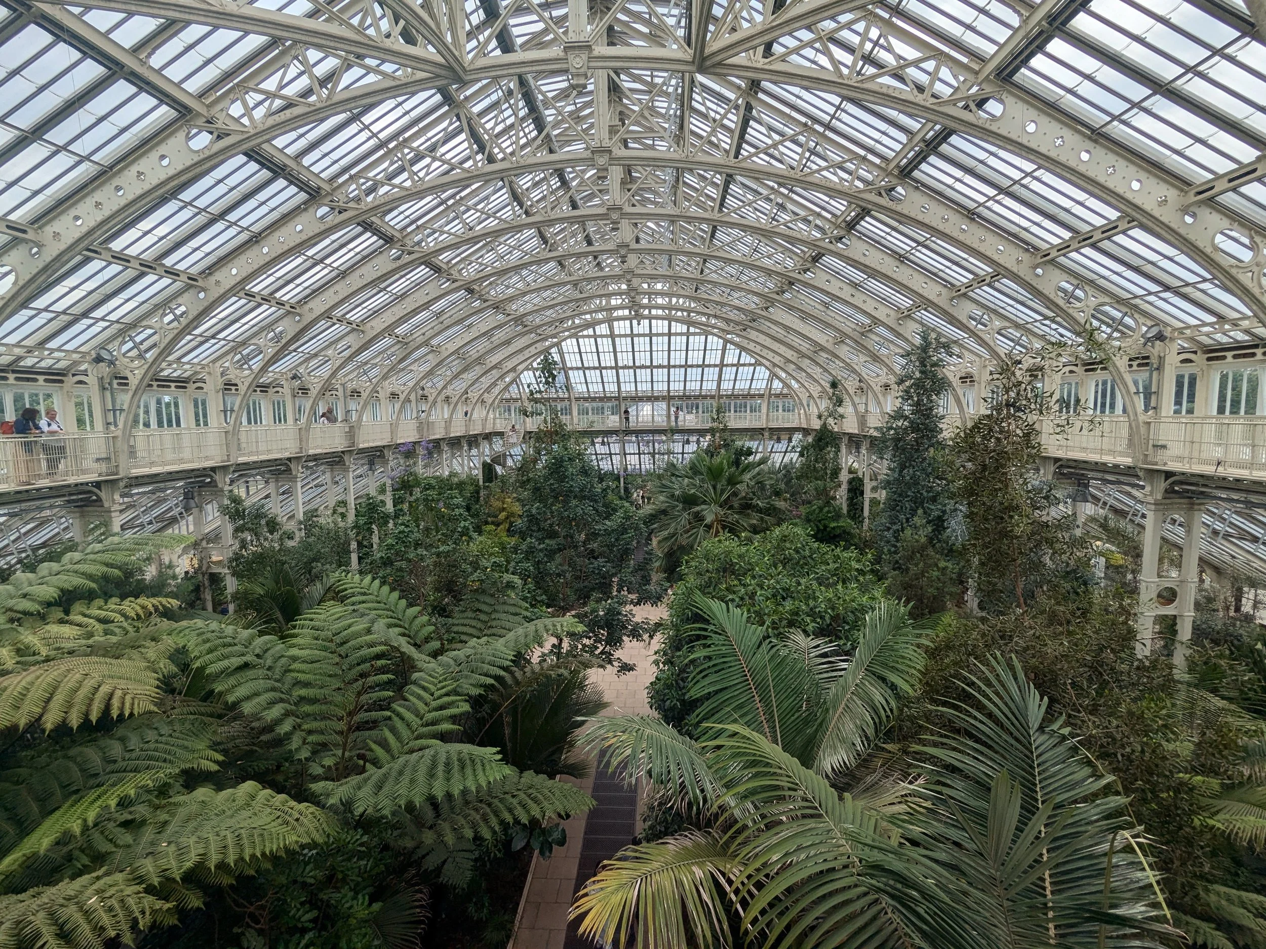 A large glass conservatory filled with lush green plants and trees, with a high arched glass ceiling supported by ornate metal framework, and a pathway running through the center at Kew Gardens.