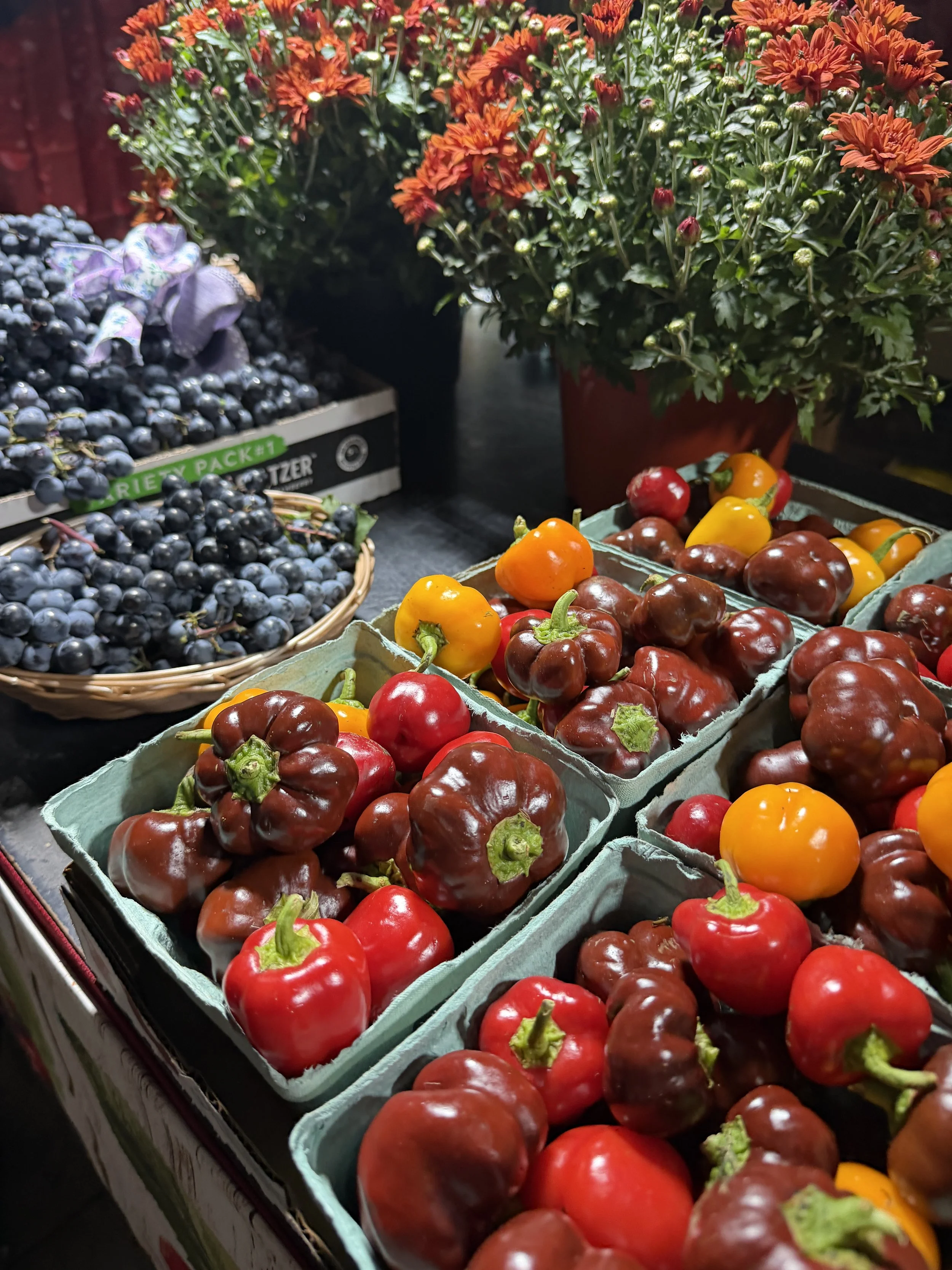 peppers blueberries market display.jpeg
