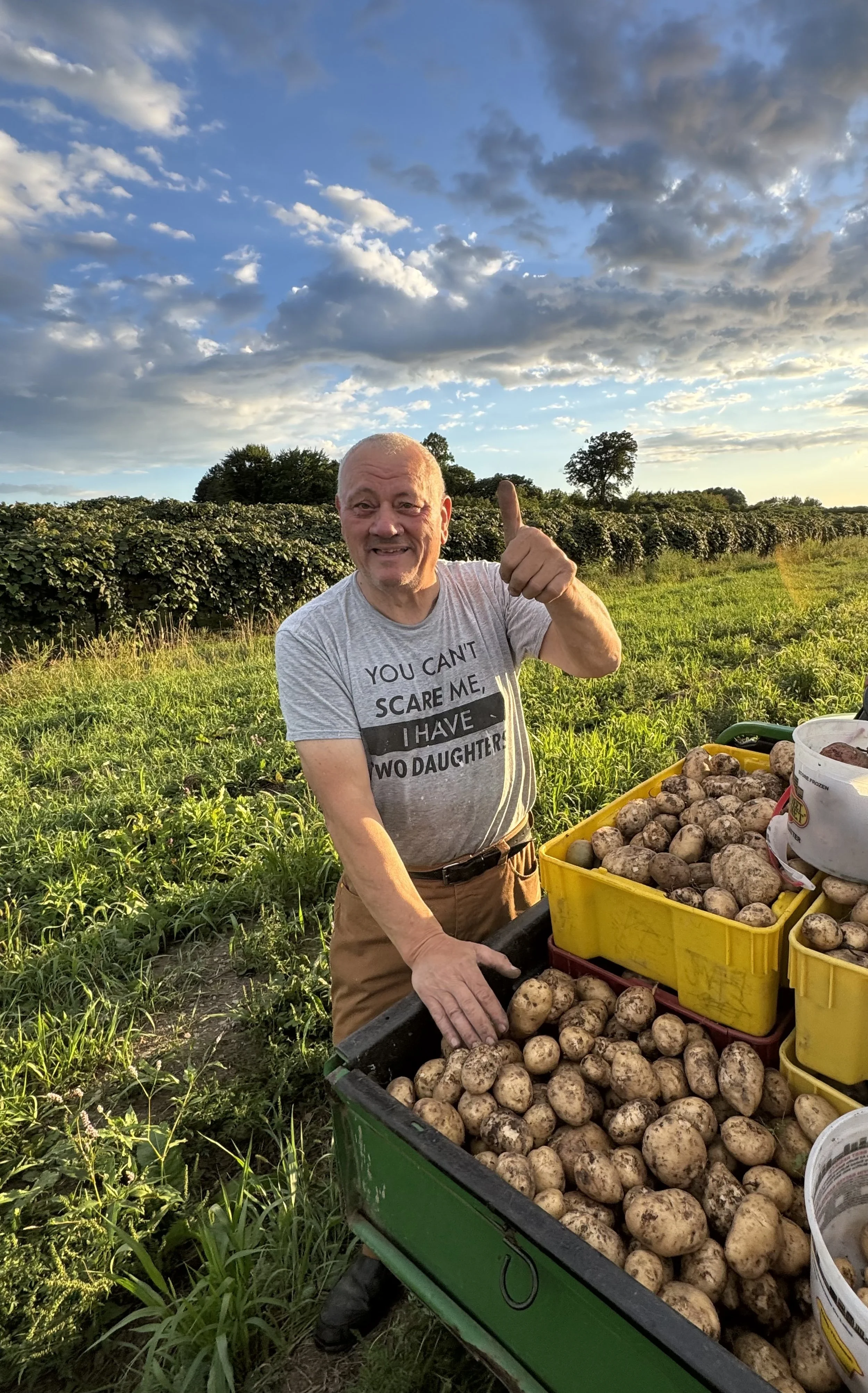Abdallah Issa at the potato harvest, continuing the Rahal family farm legacy.