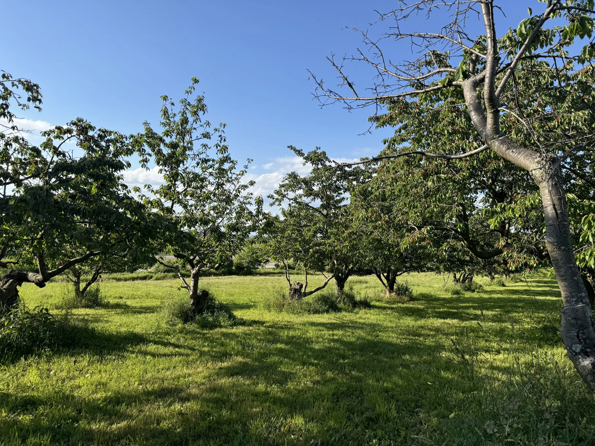 IMG_1640.jpeg