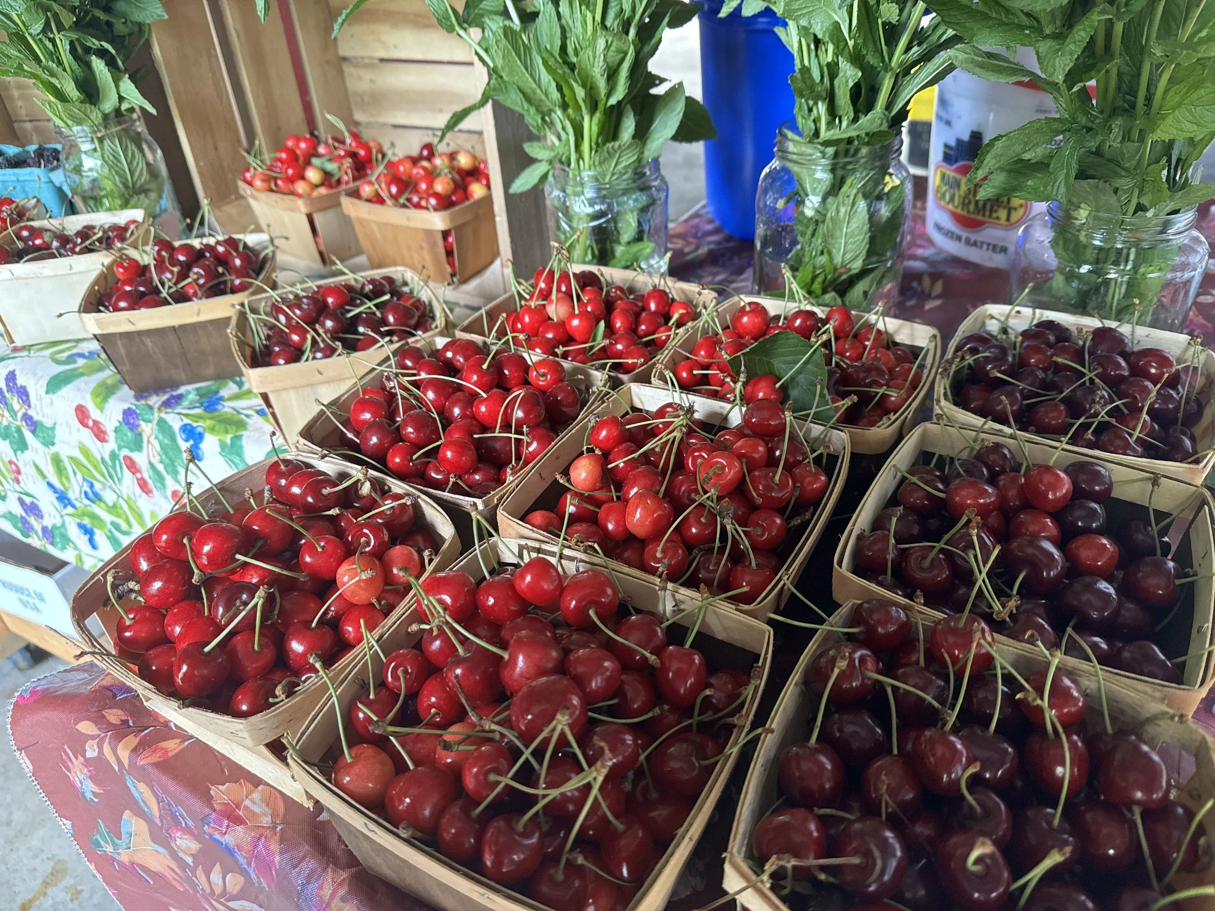 market stall cherries baskets.jpeg