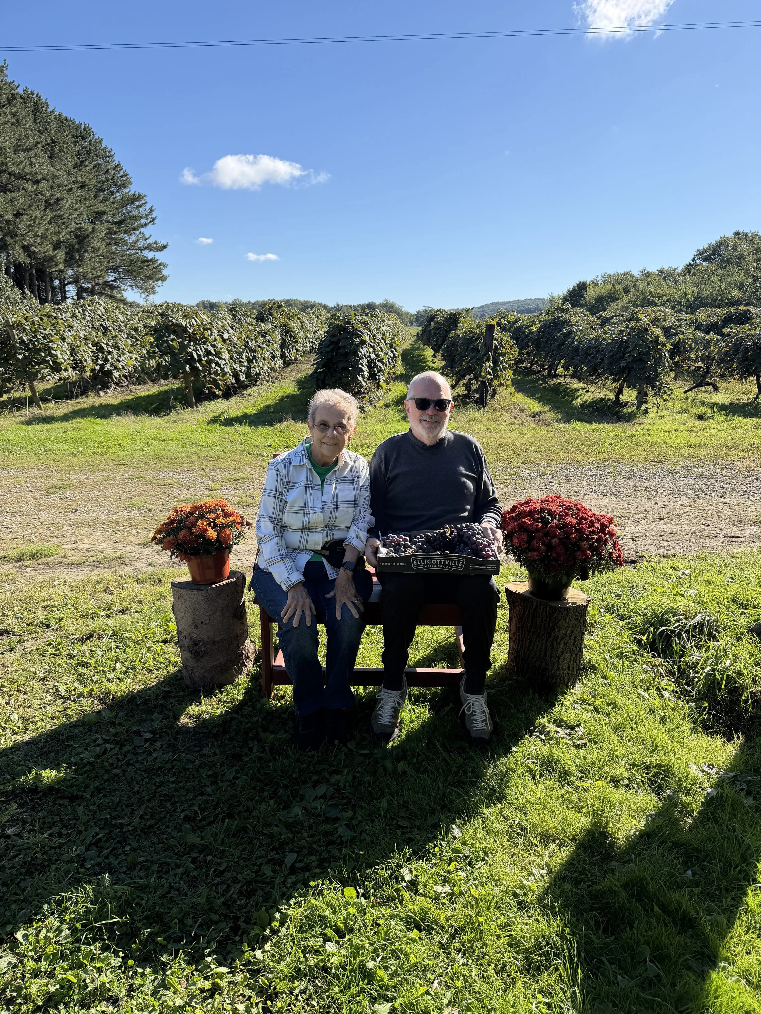 elderly couple vineyard harvest photo.jpeg