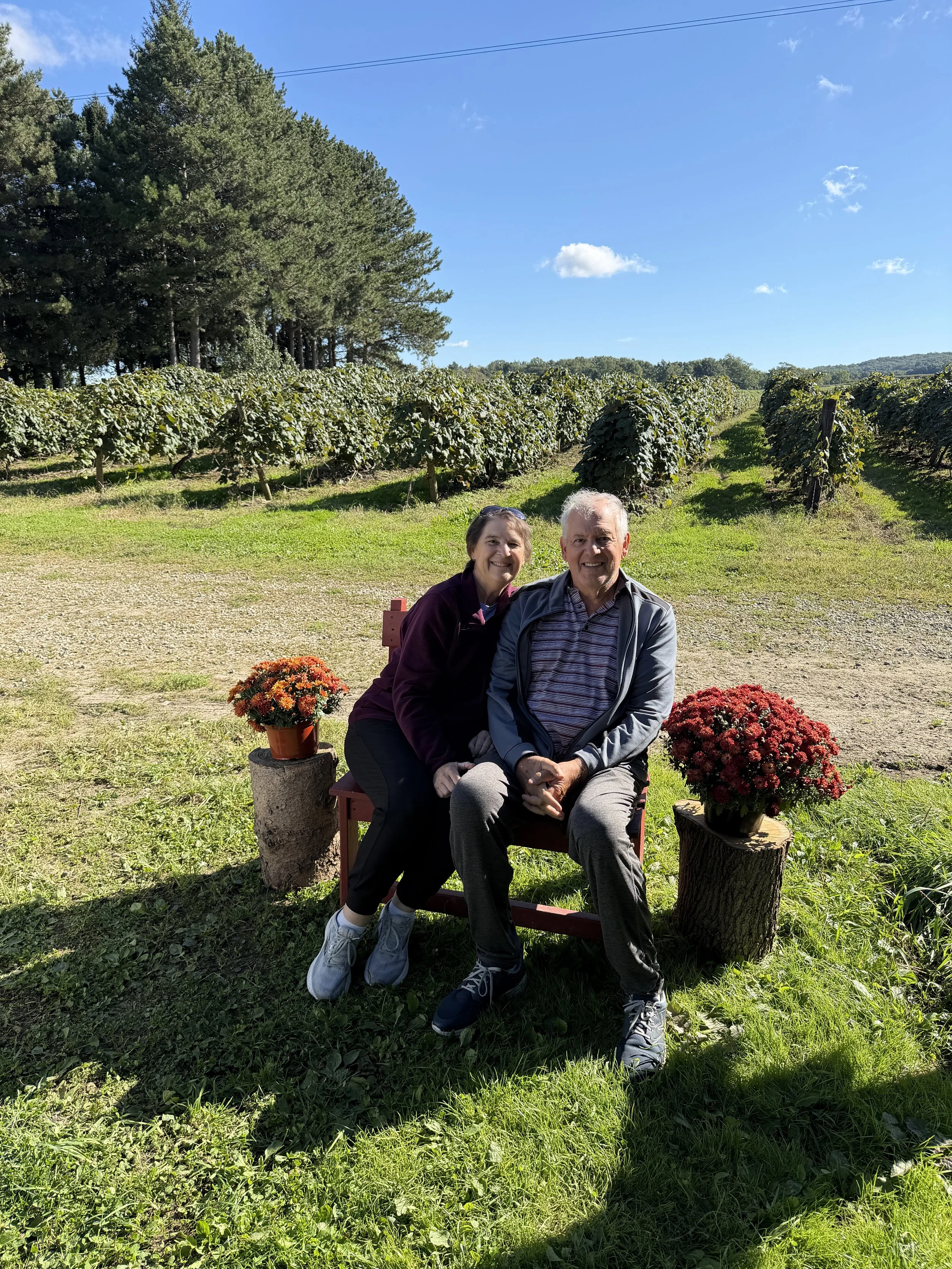 couple on bench in vineyard with flowers.jpeg