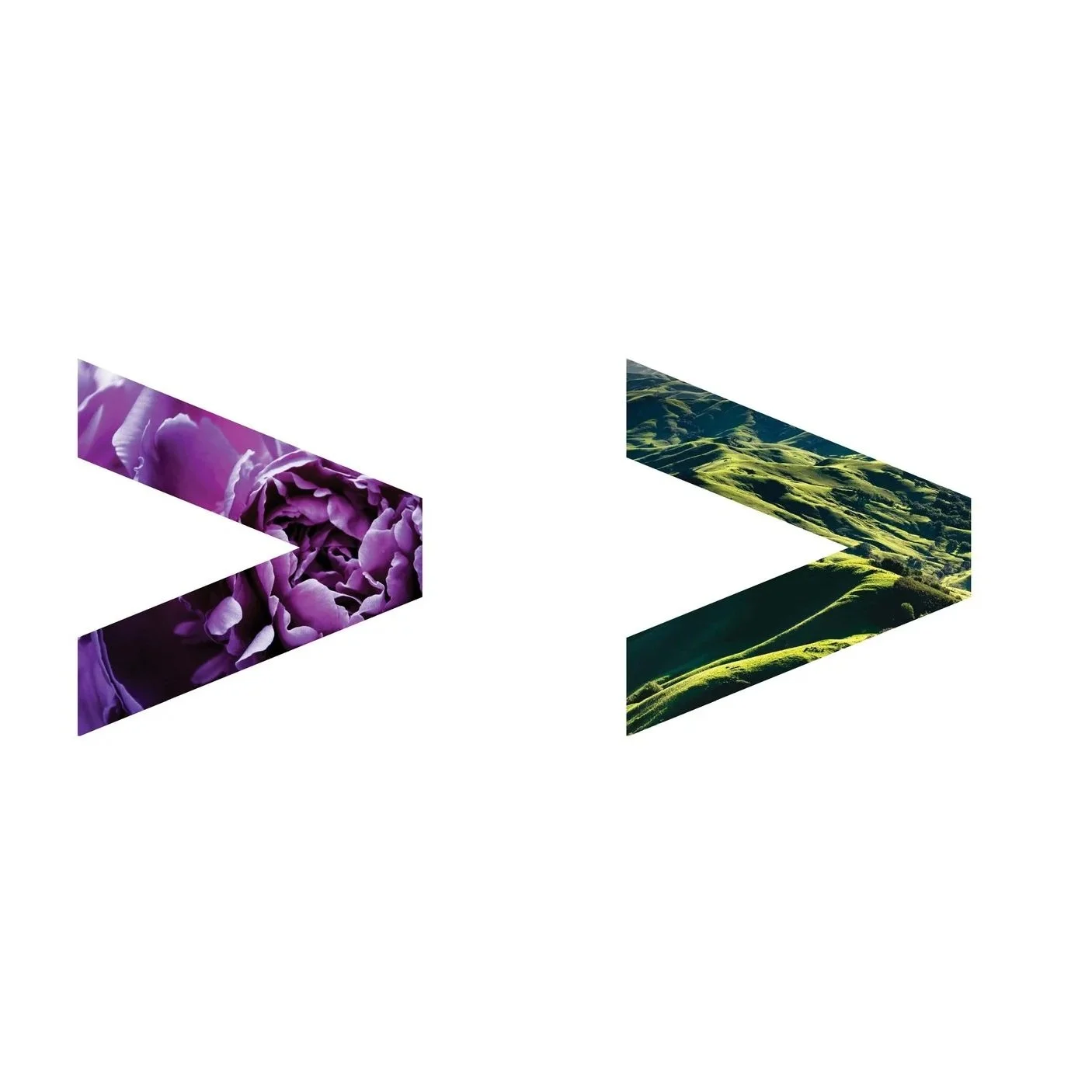 Brand Identity