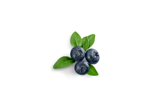 Blueberries