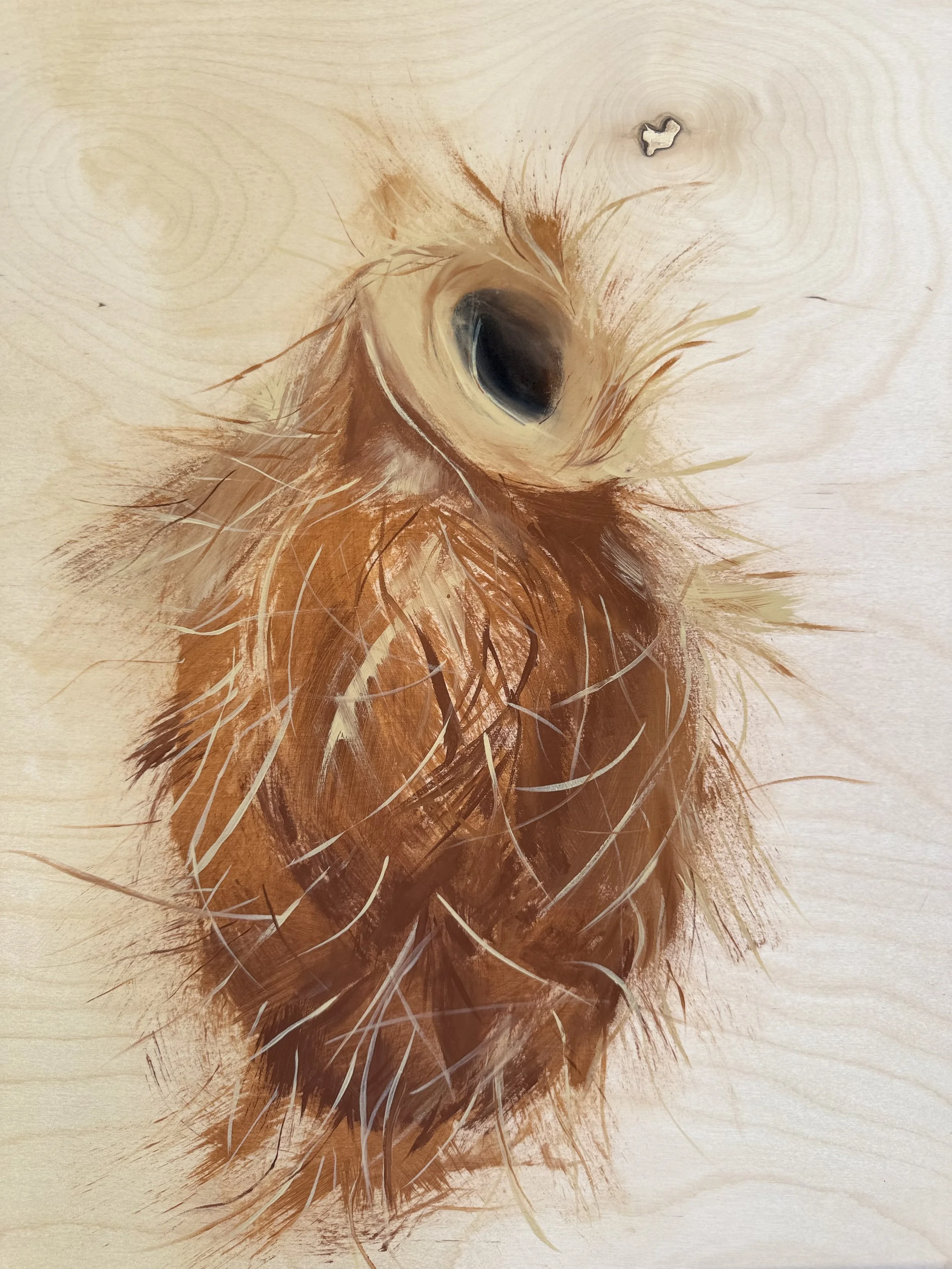 NESTS