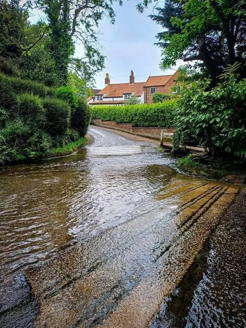 A small stream flowing on a paved road with houses and green trees in the background.