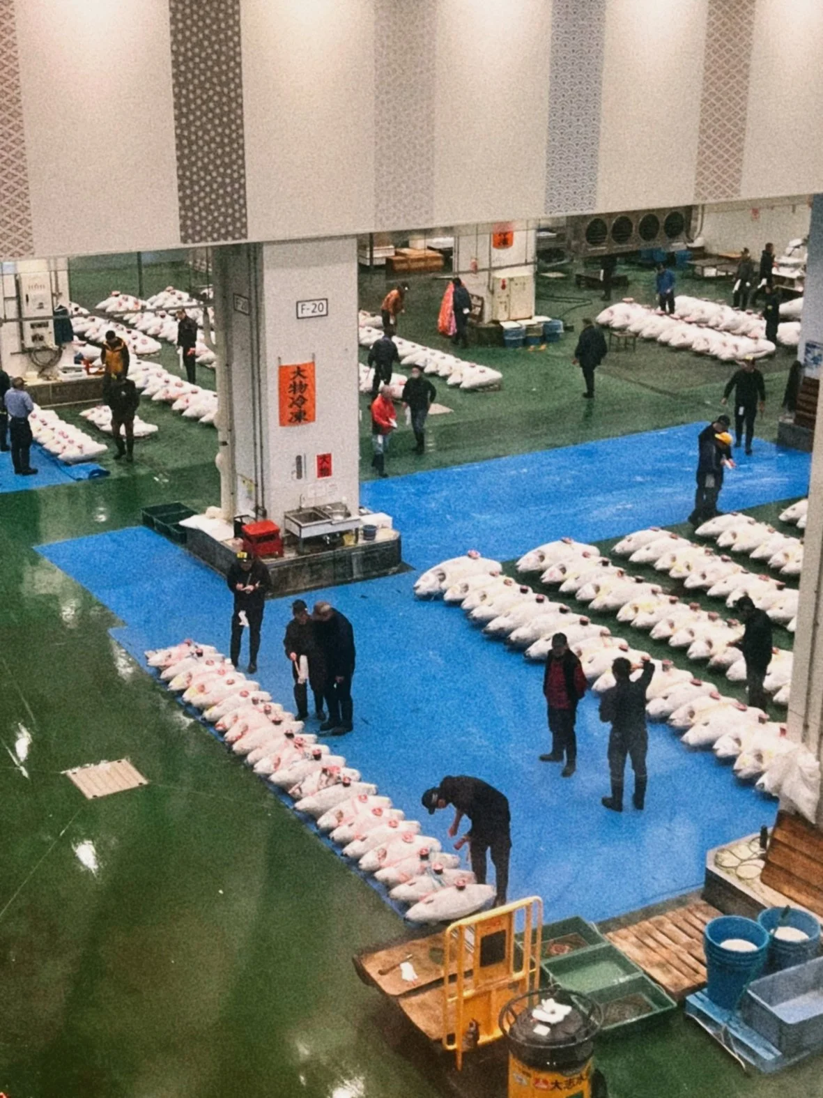 People in Tokyo's Toyosu Market sorting and handling bluefin tuna laid out on mats.