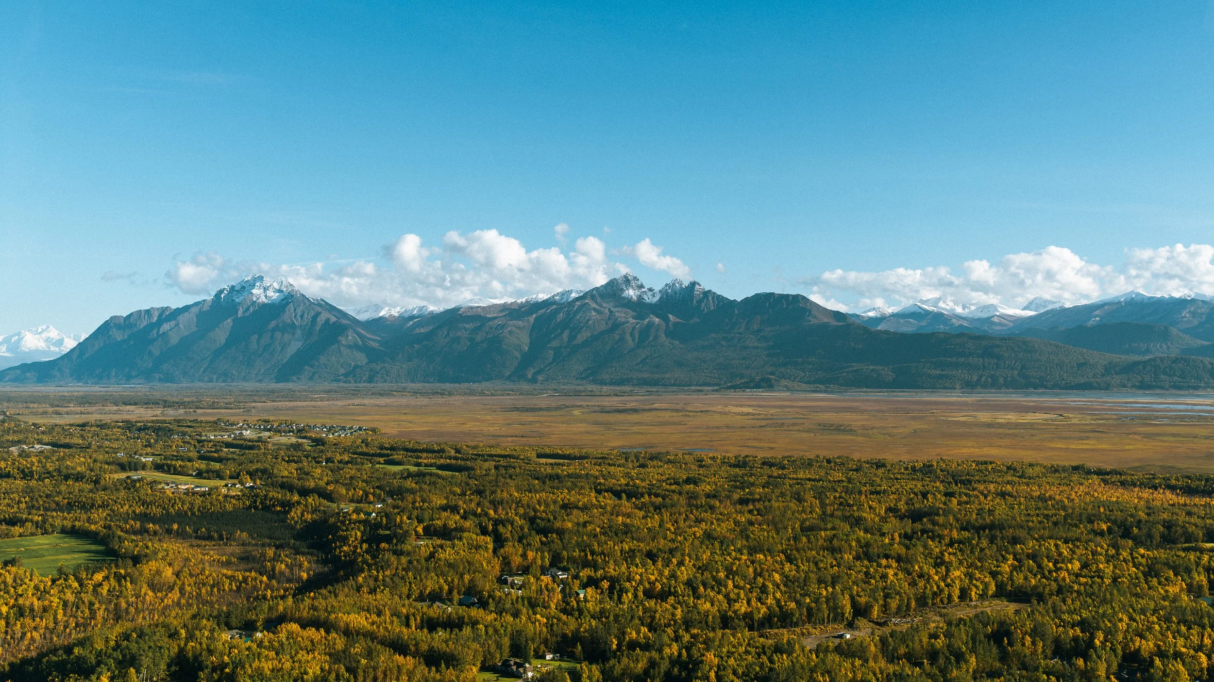 AR502482.jpg