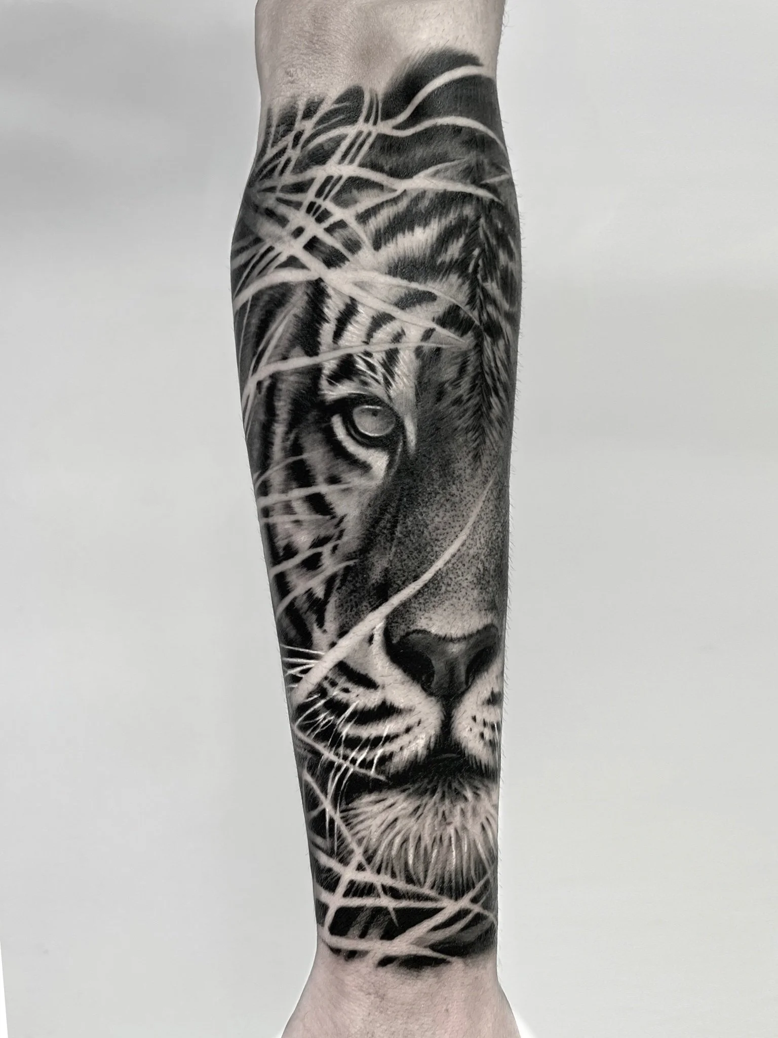 2574.JPG