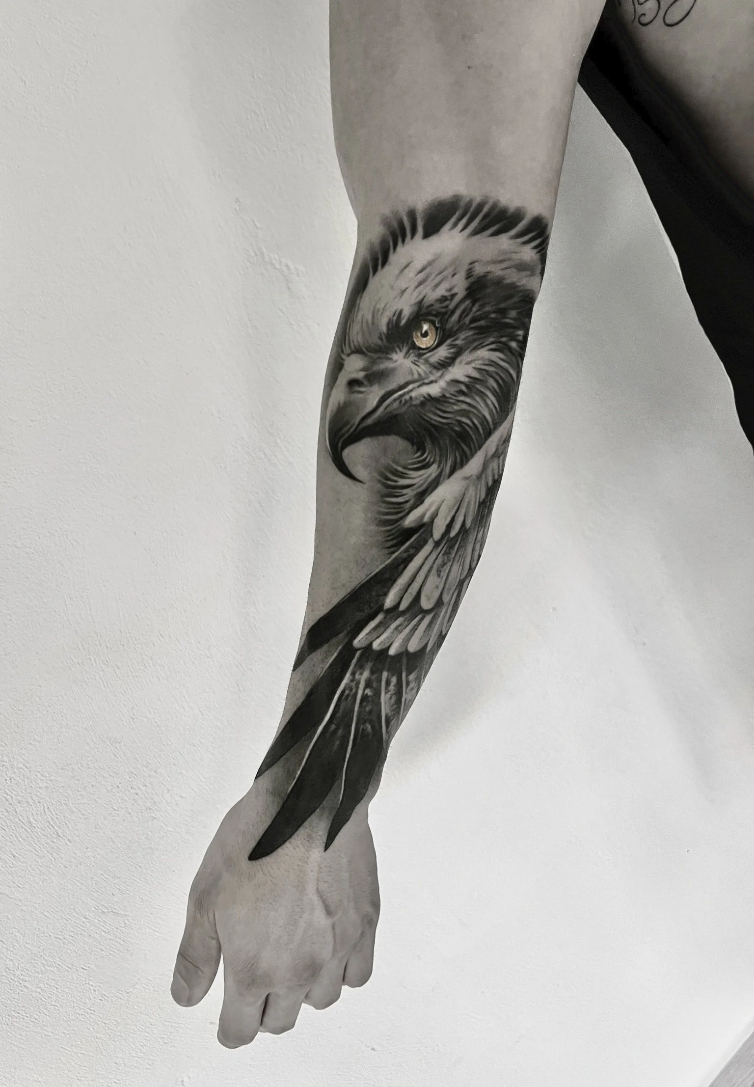 2646.JPG