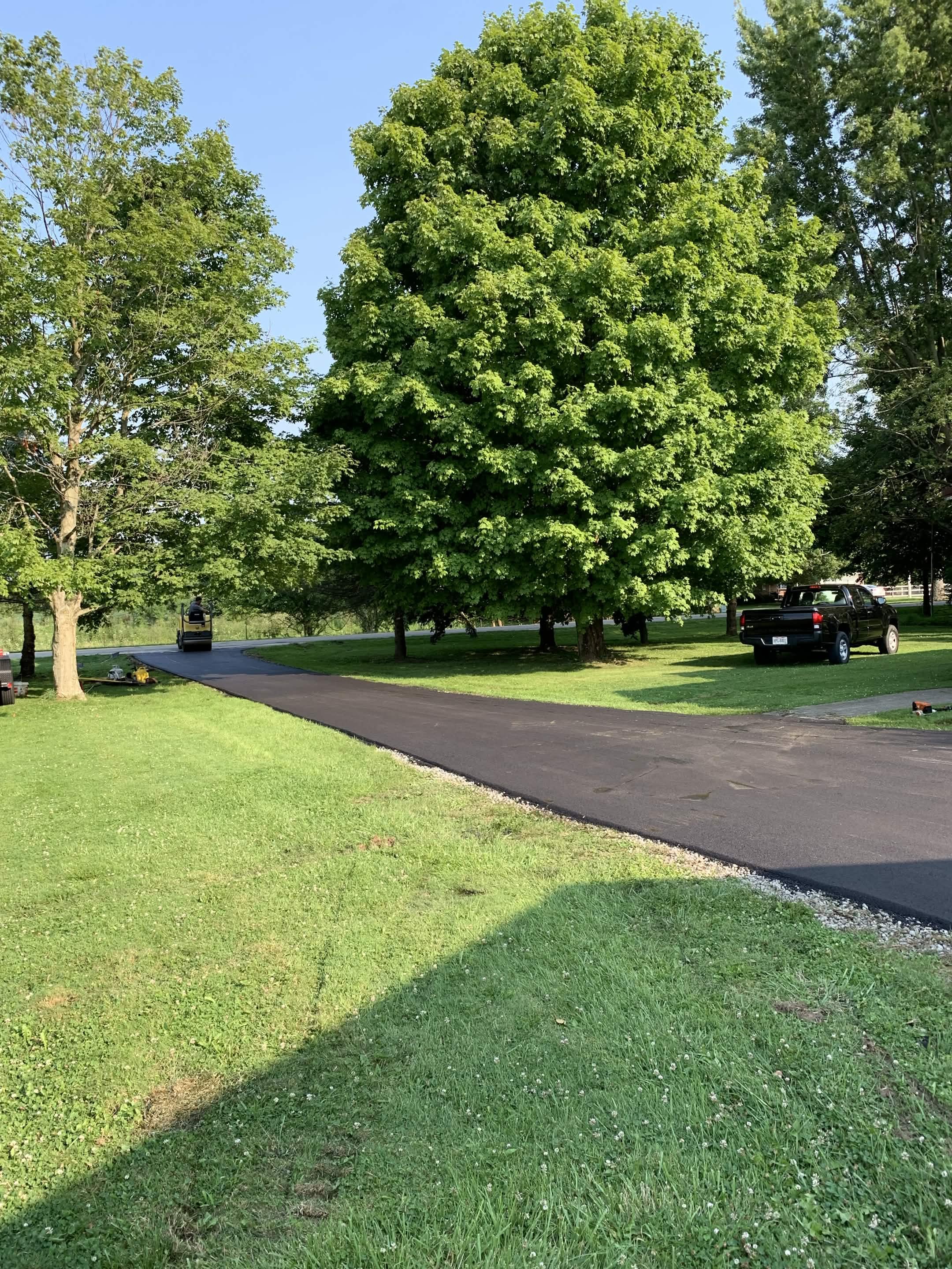 A vibrant green leafy tree in a park setting with a clear blue sky overhead. There are two cars parked on the street, and a paved pathway runs through the grassy area.