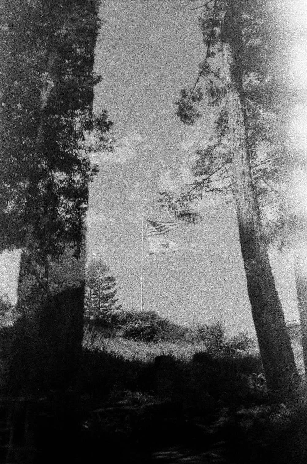 Scan61.jpg