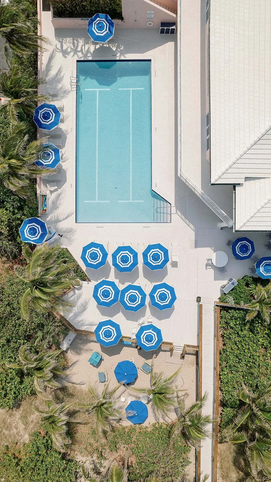 pool .jpeg