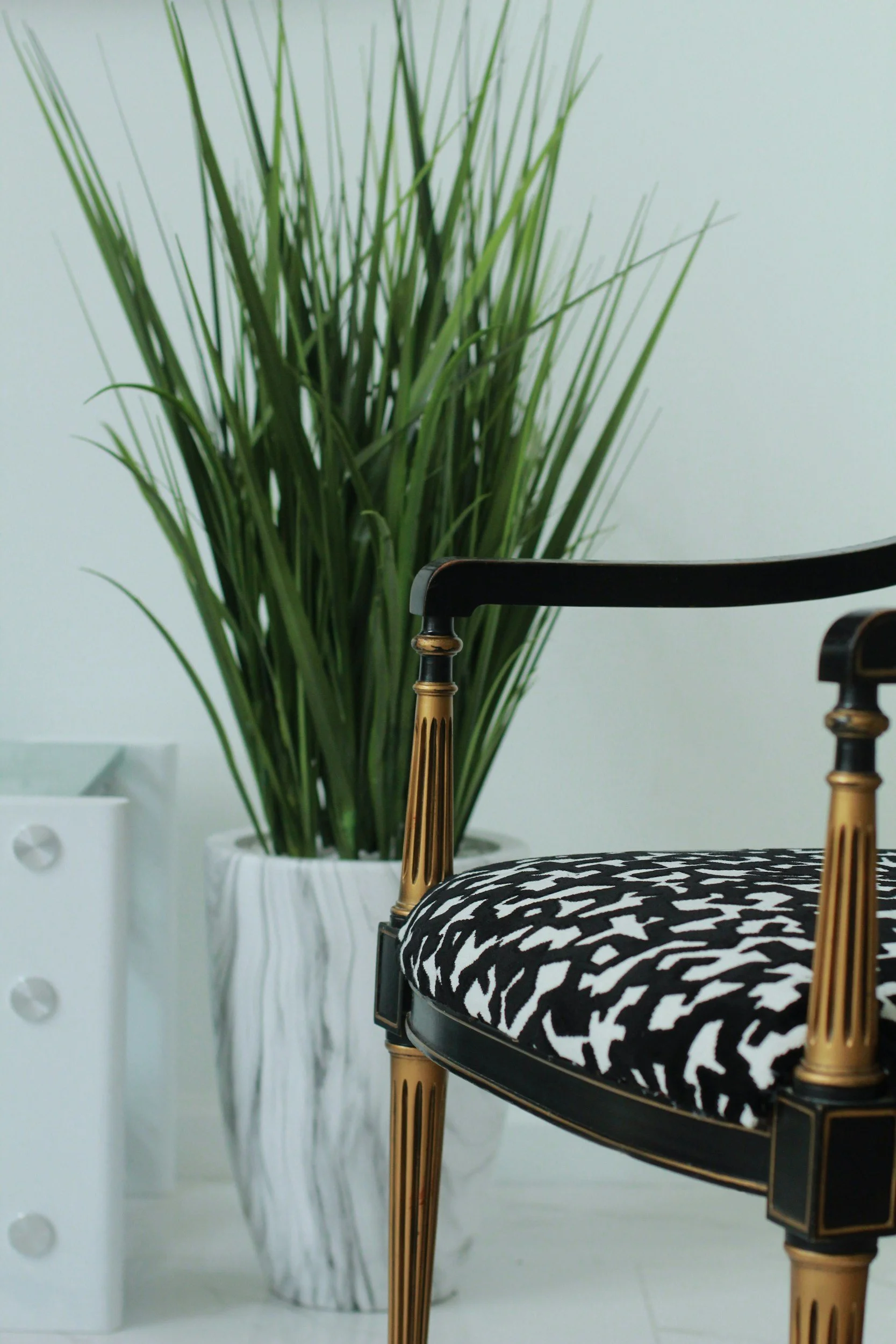 A close-up view of a black and white patterned chair with gold legs, positioned next to a tall green plant in a white pot, and a white wall with a small white table or radiator in the background.
