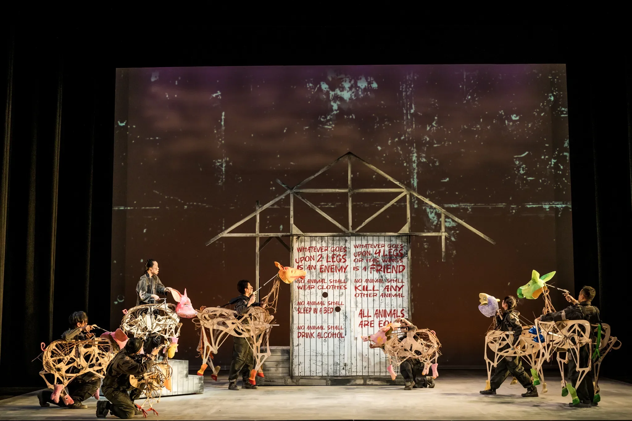 SIFA25_AnimalFarm_MoonriseStudio_5361.webp