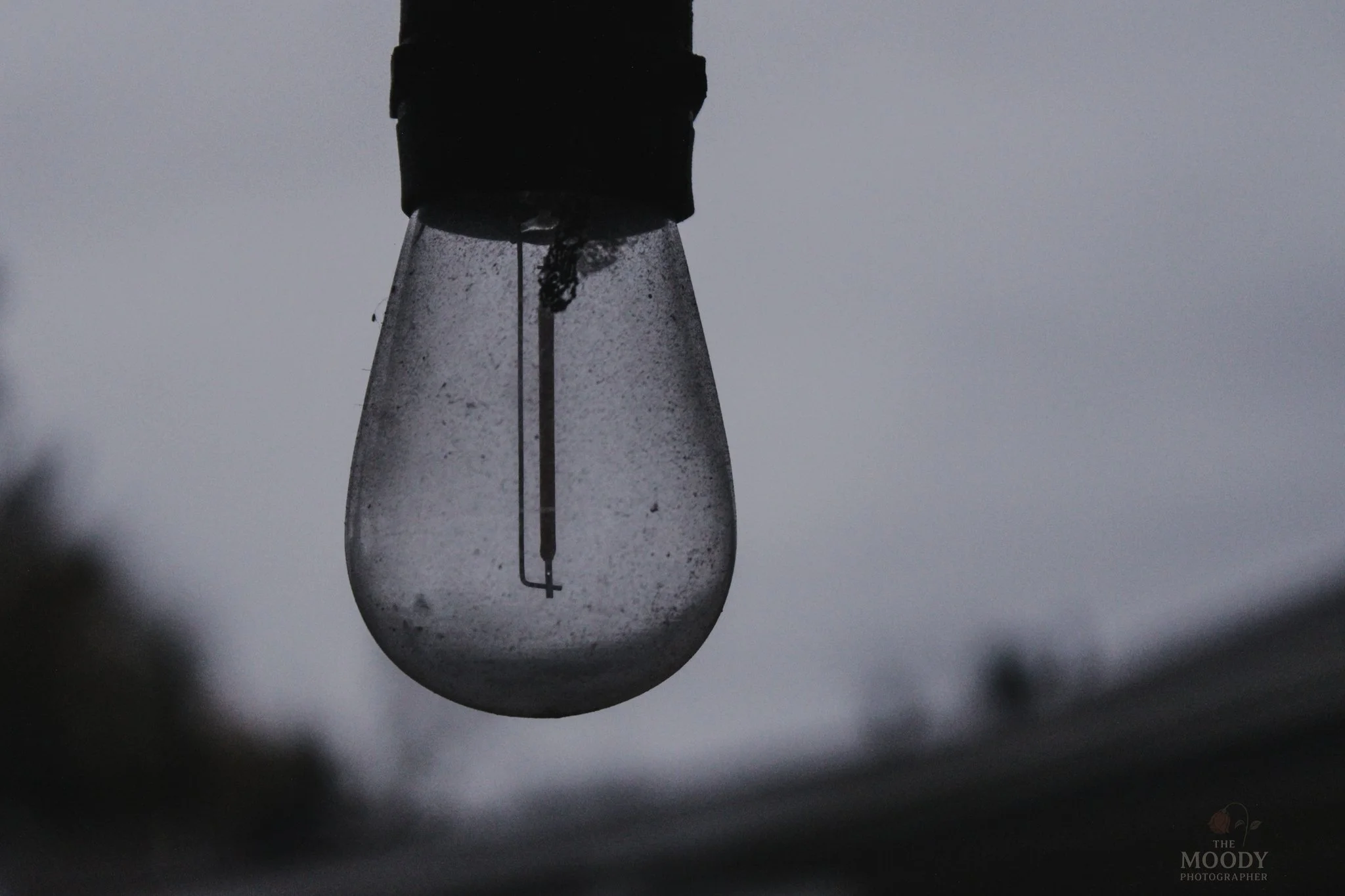 On storytelling, becoming an author, and the strange little pieces of a life that eventually become fiction.
