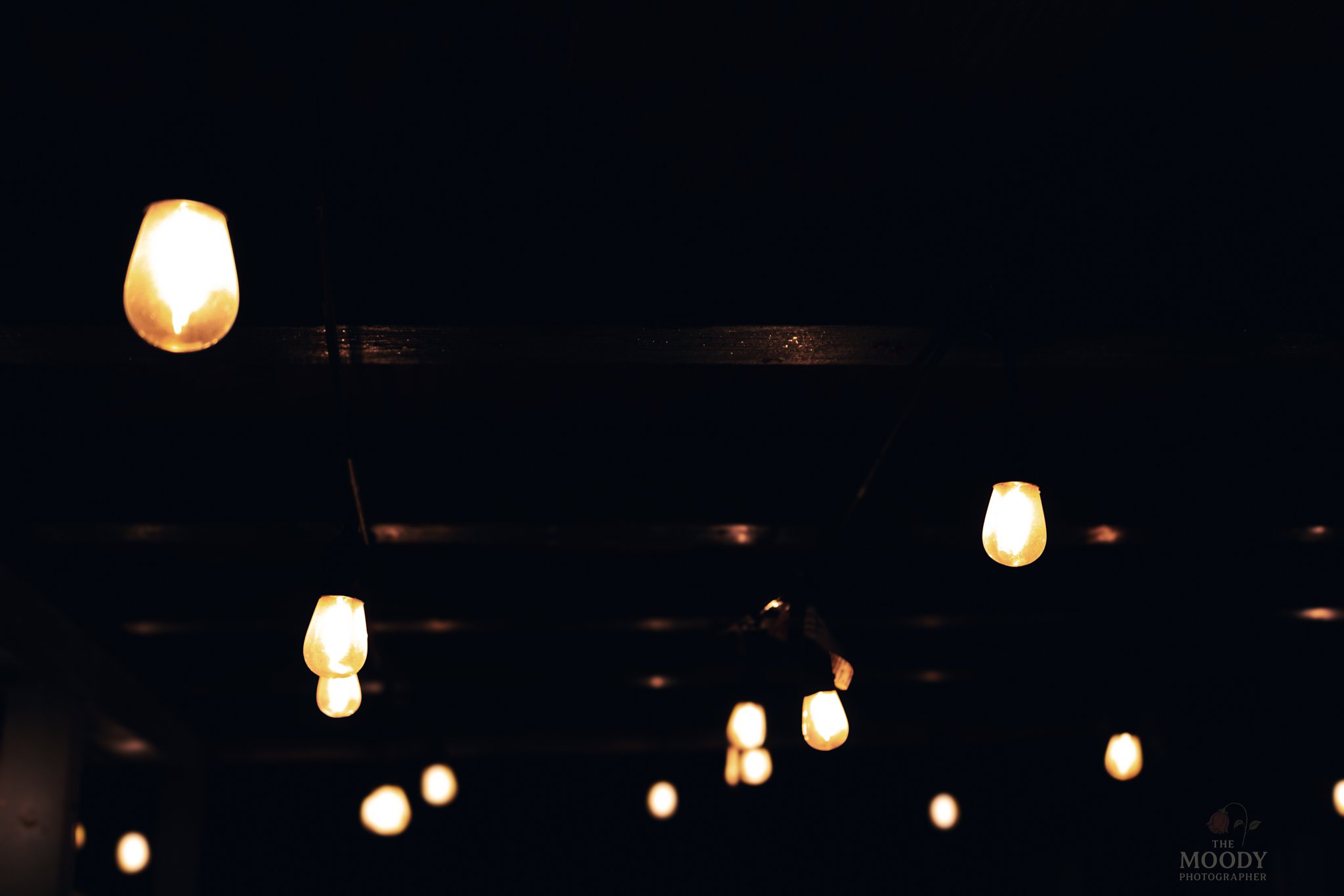 String of warm white hanging light bulbs in a dark setting, creating a cozy atmosphere.