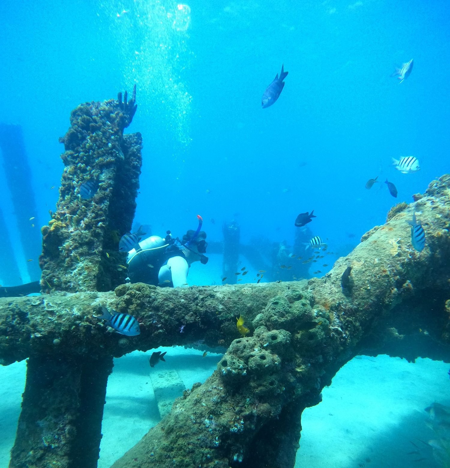 Great things to do in Rincón, Puerto Rico photo 4