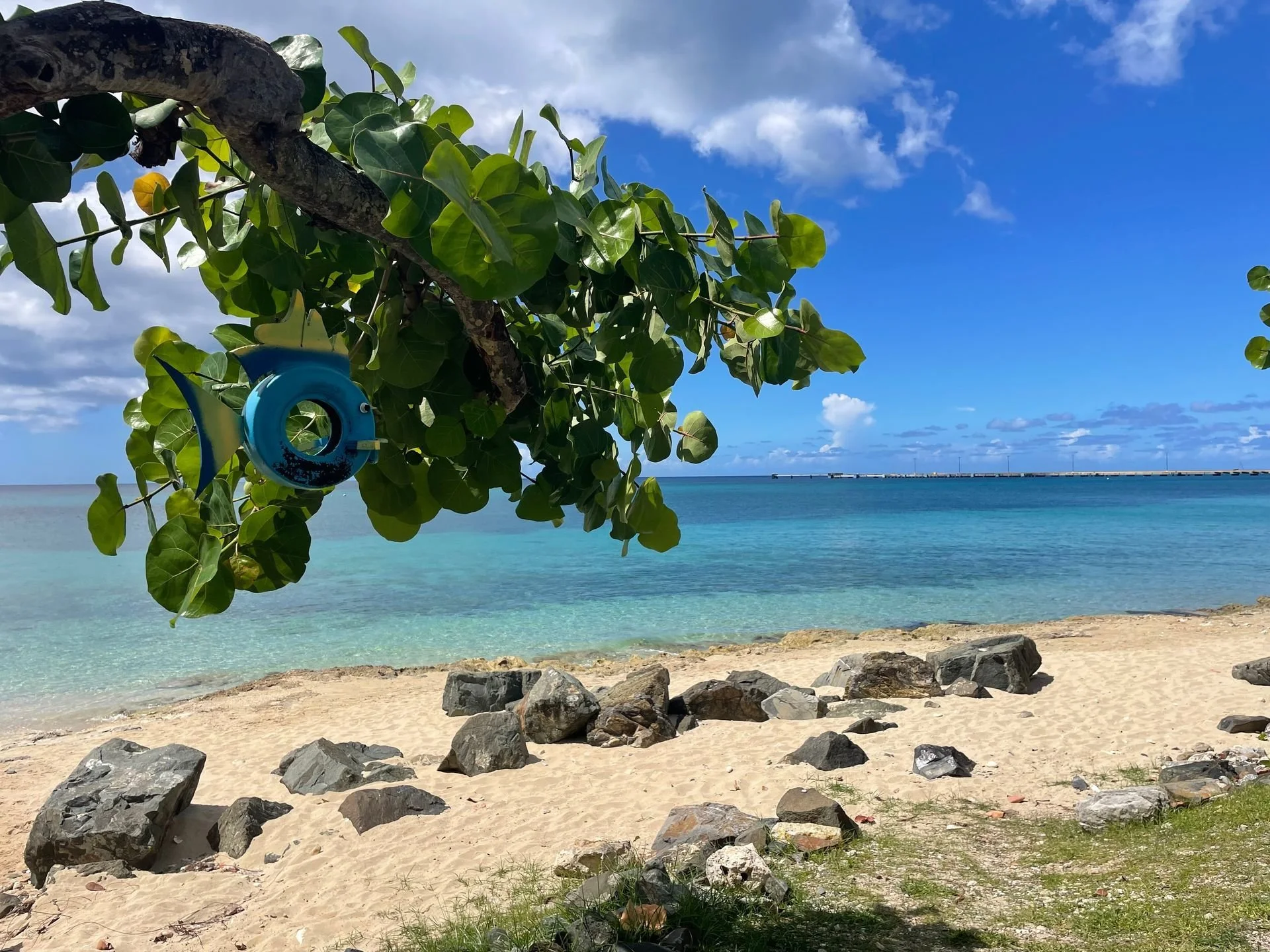 What to do & where to stay in St. Croix
