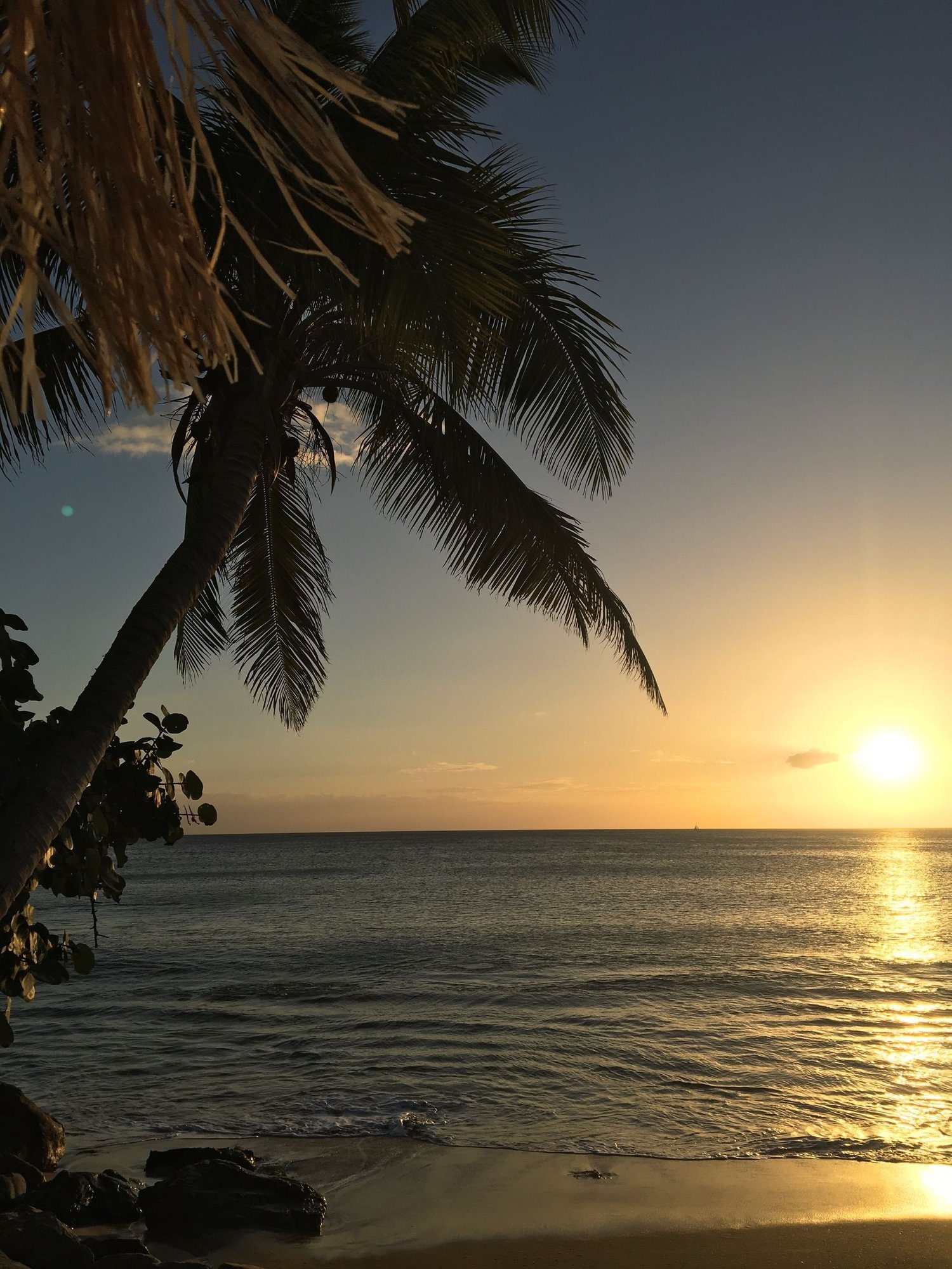 Great things to do in Rincón, Puerto Rico photo 7