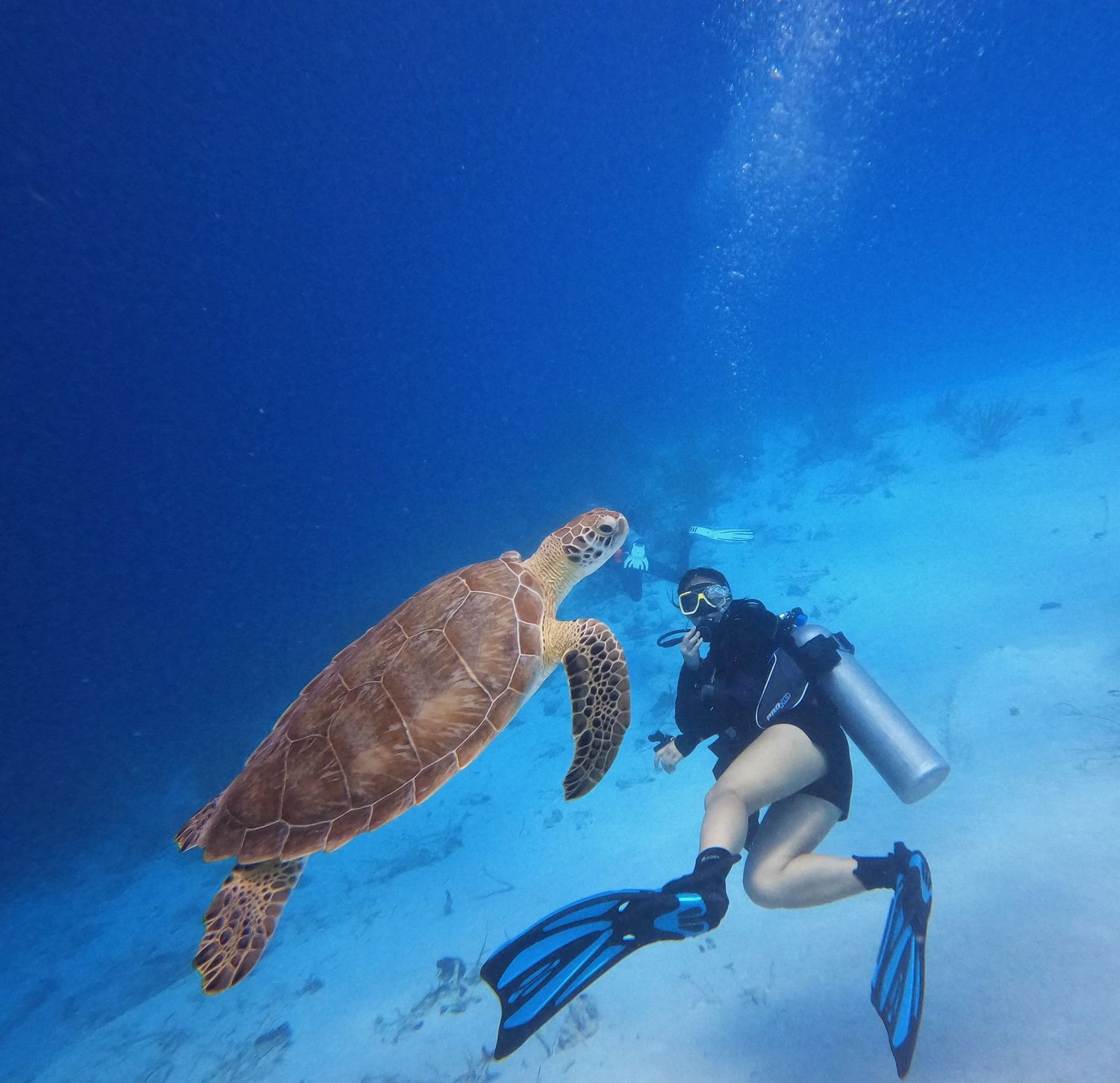The best places to stay and things to do on Bonaire photo 2