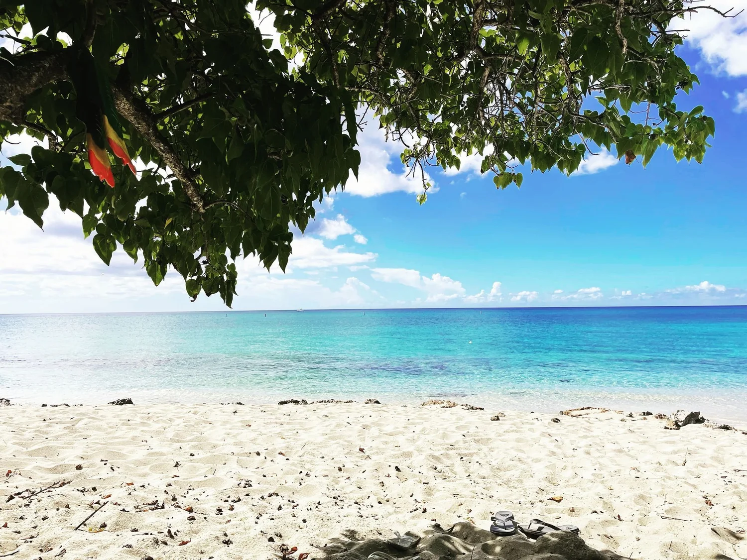 What to do & where to stay in St. Croix photo 1