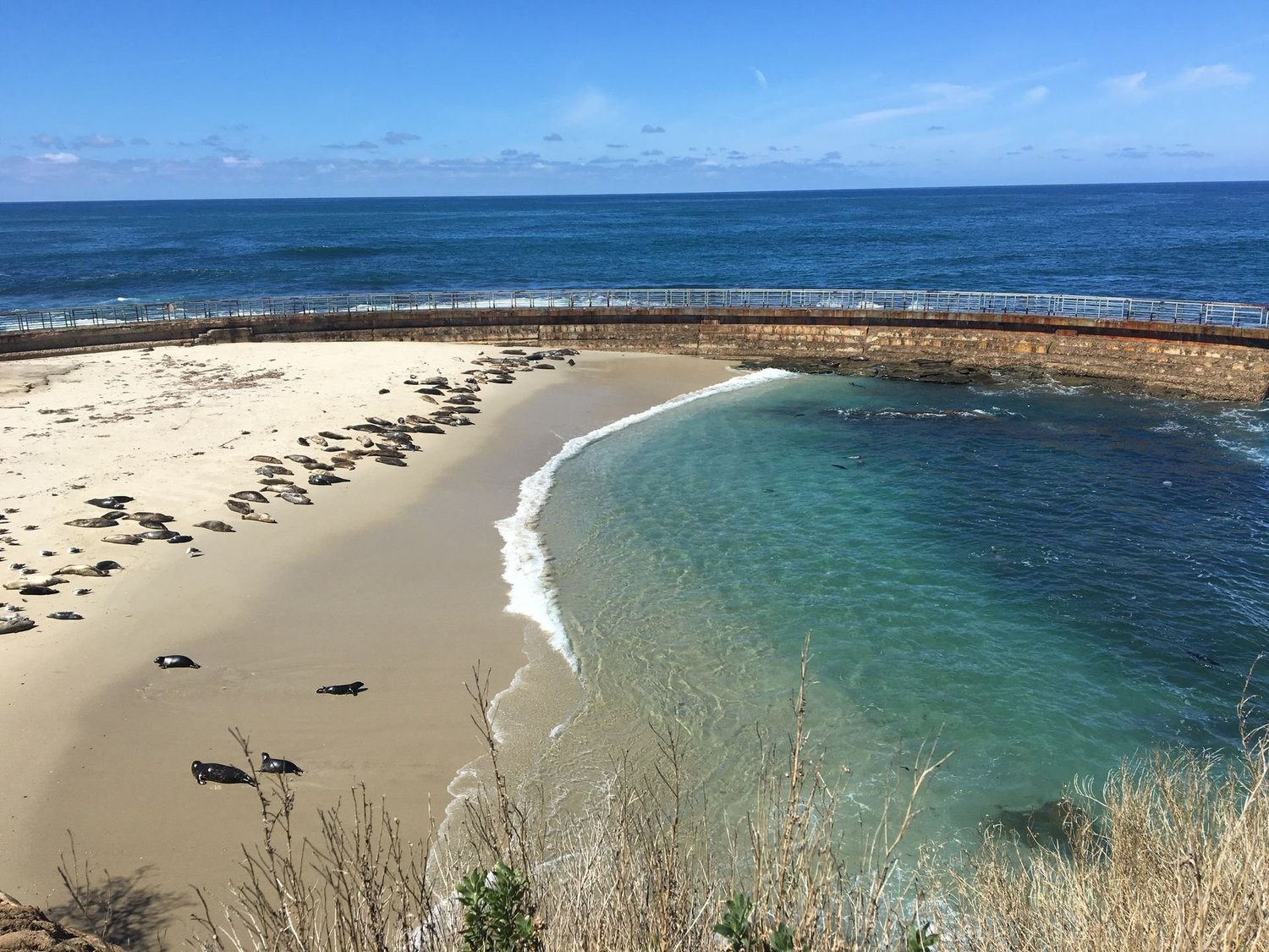 Where to stay and what to do in San Diego photo 3