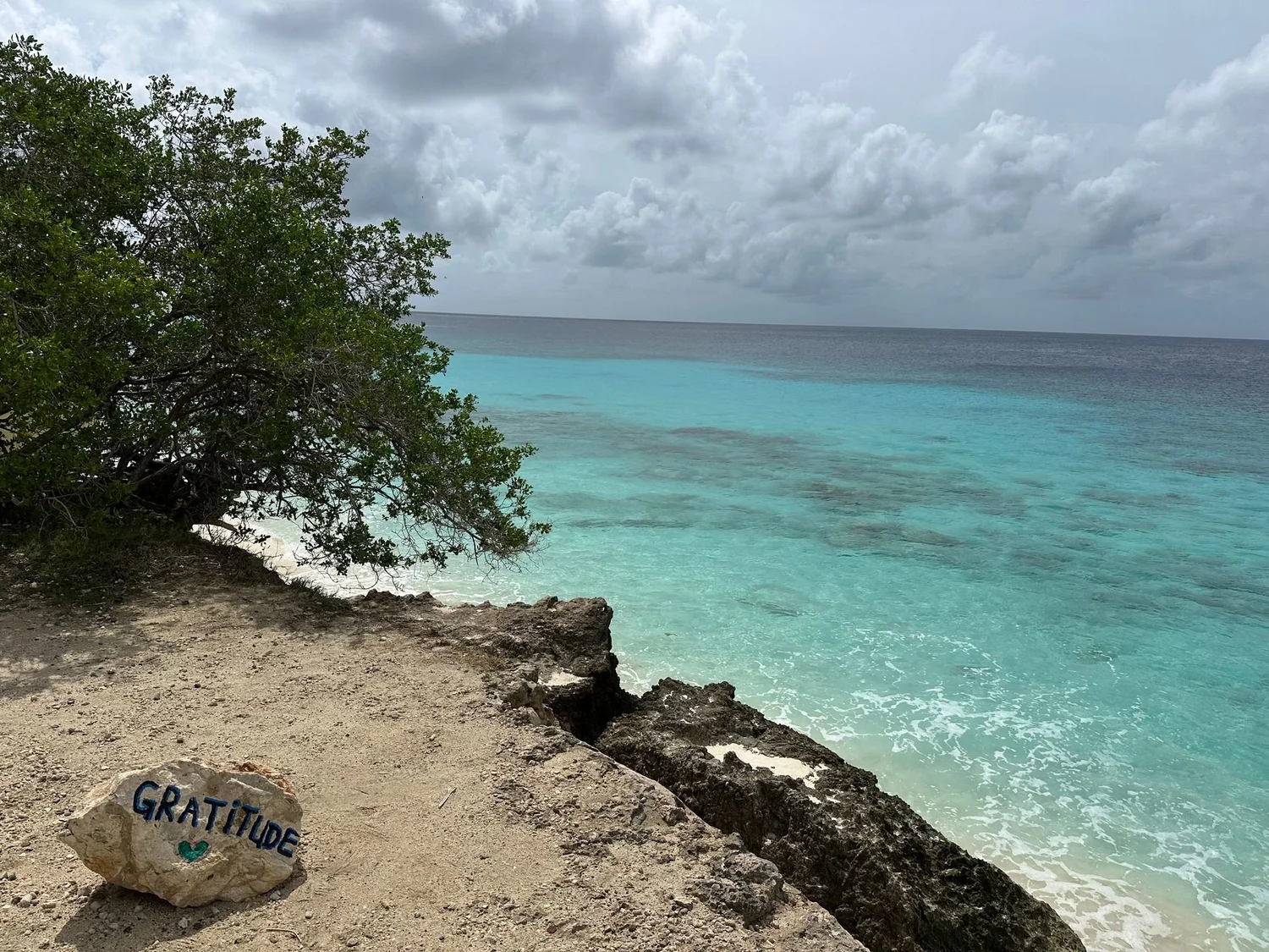 The best places to stay and things to do on Bonaire photo 1